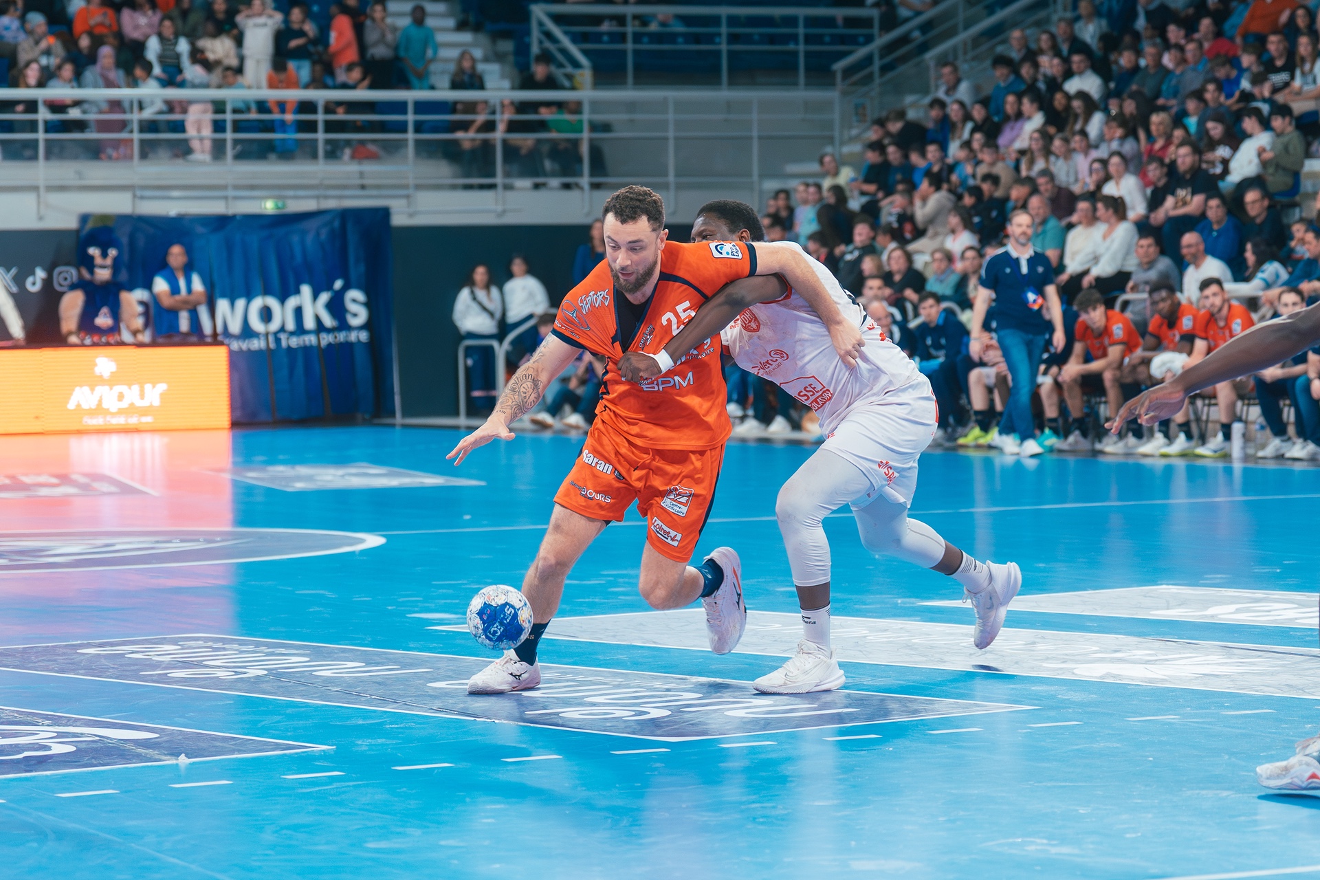 DSC01429.jpg_compressed