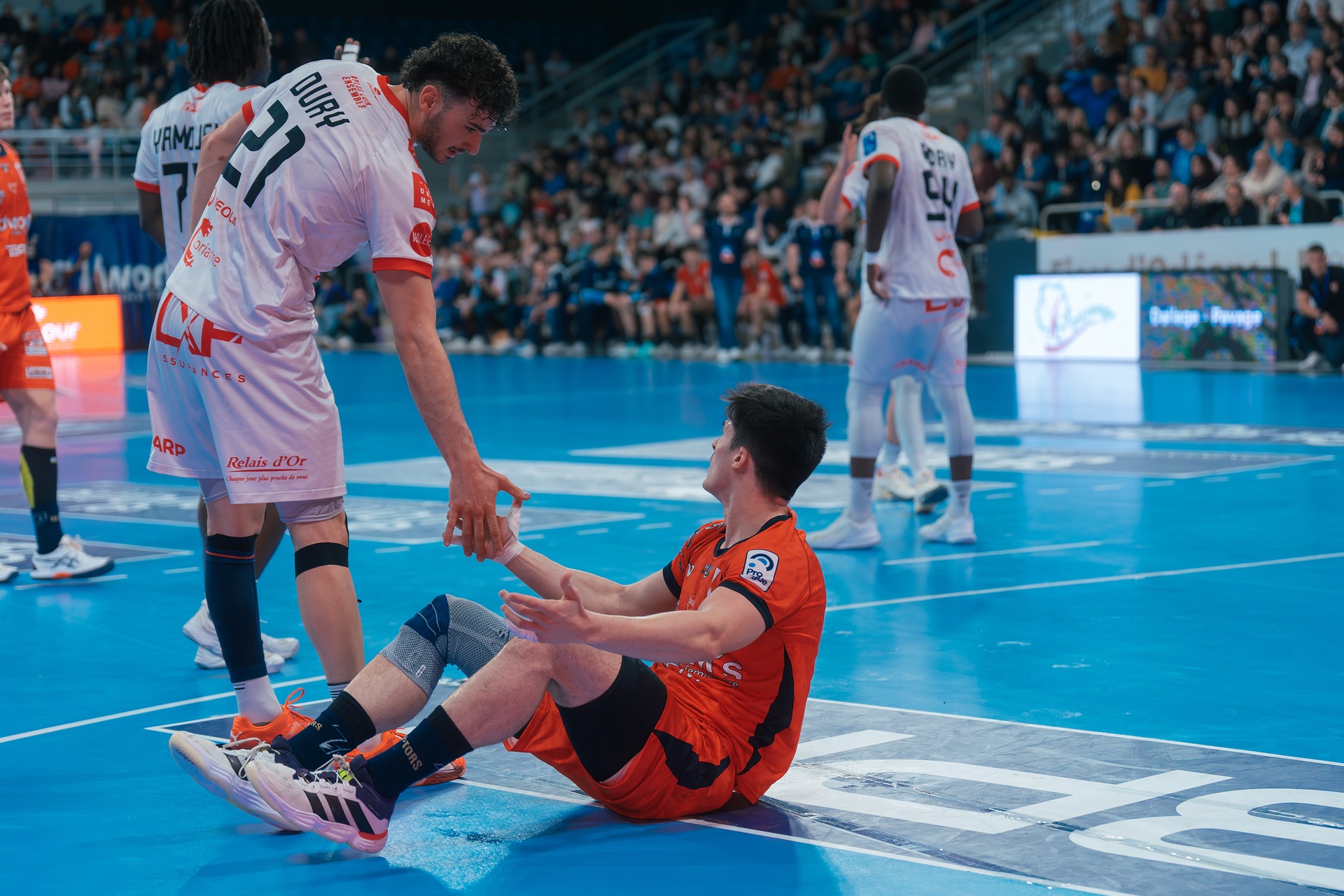 DSC01437.jpg_compressed