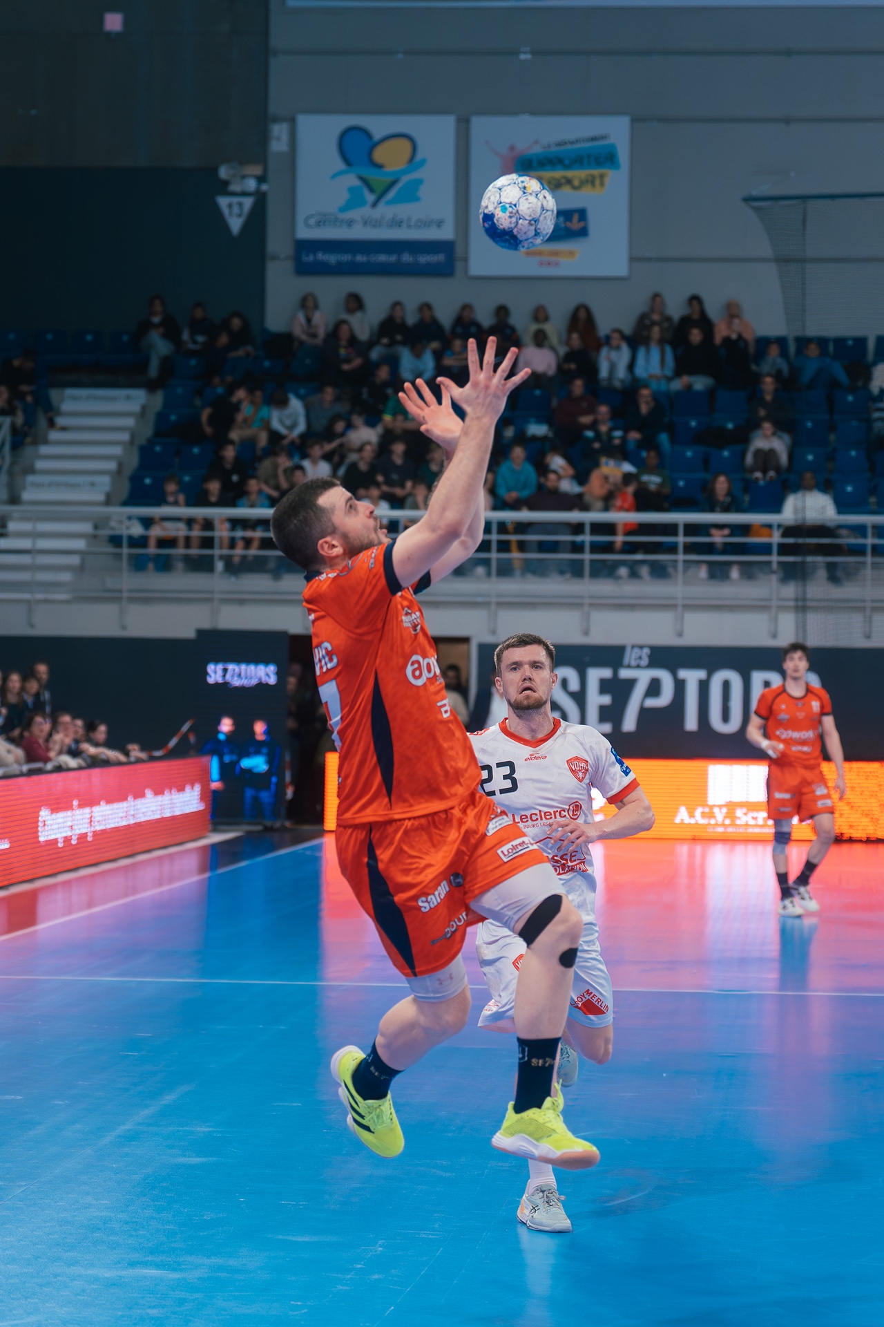 DSC01490.jpg_compressed