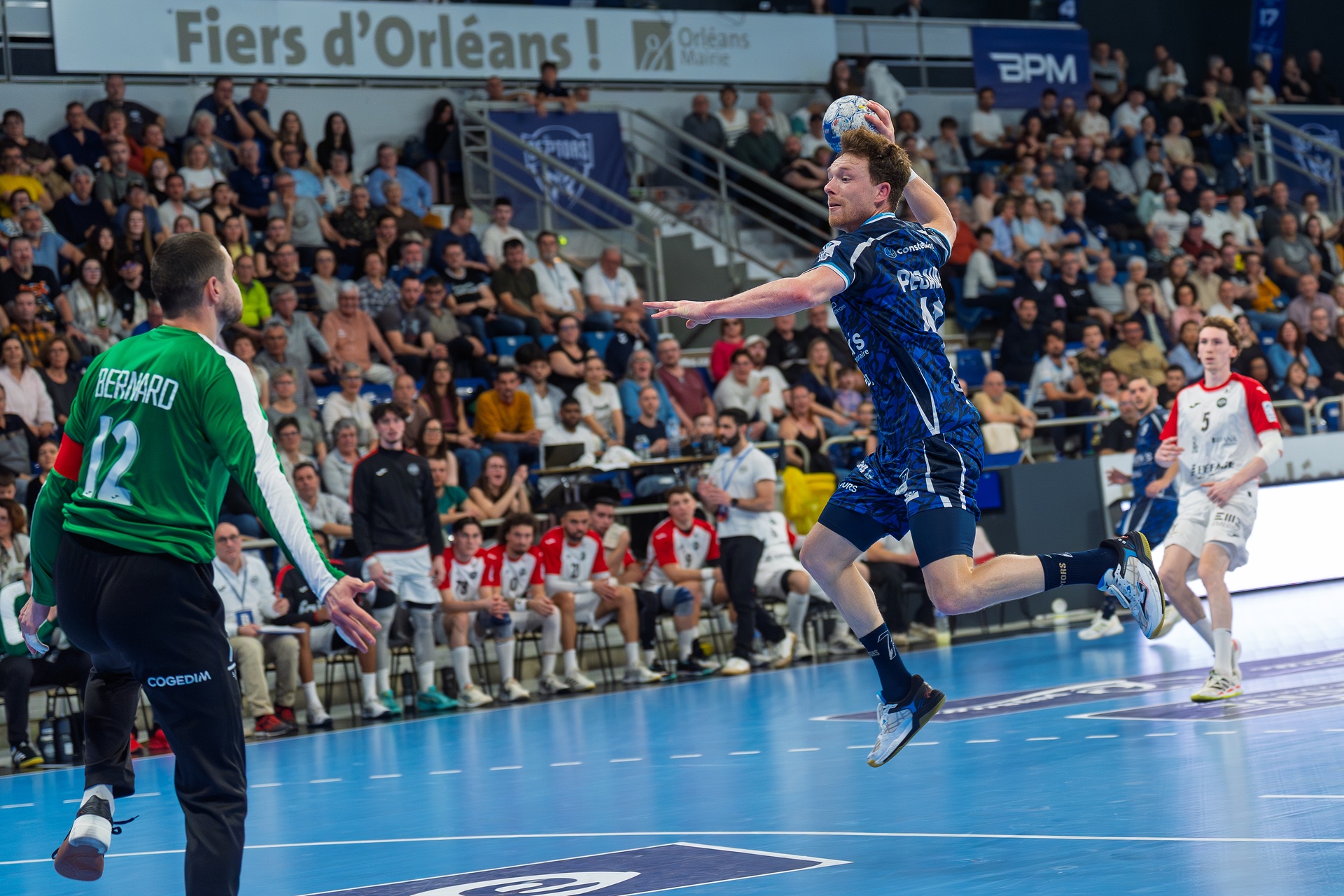 DSC01495.jpg_compressed