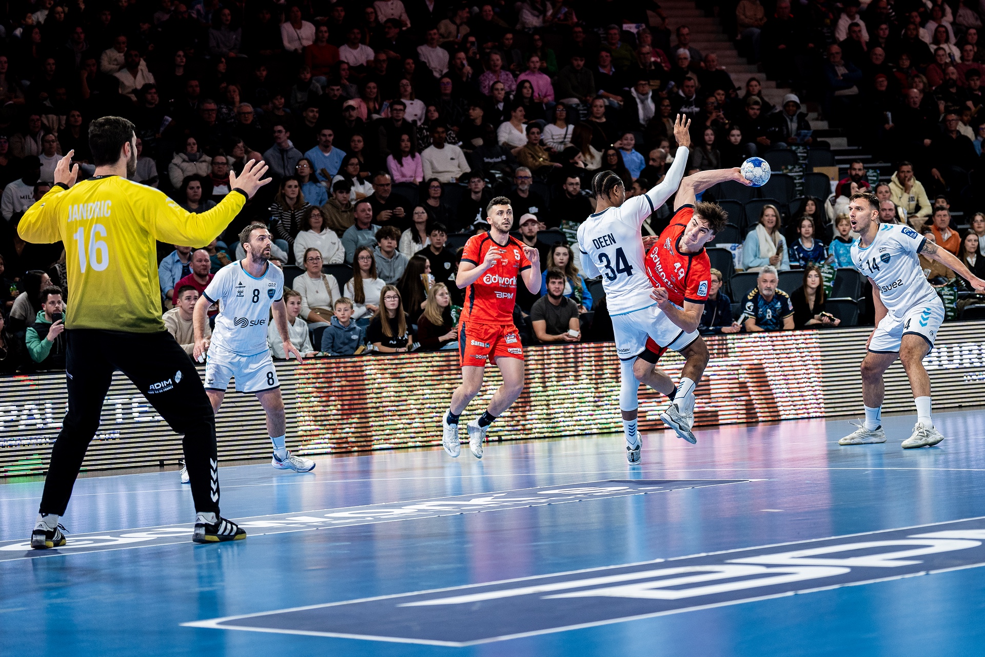 DSC01503.jpg_compressed