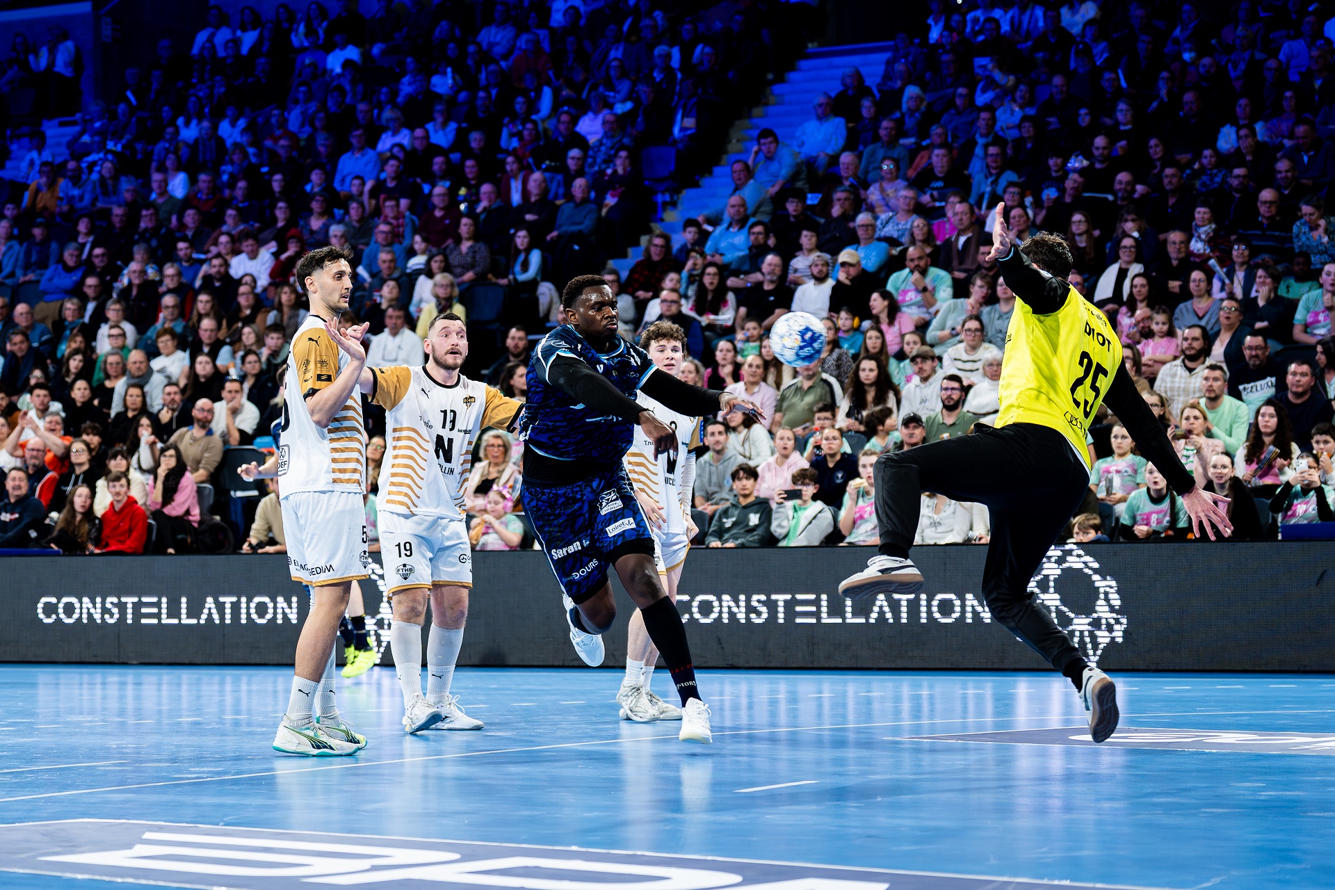 DSC01532.jpg_compressed