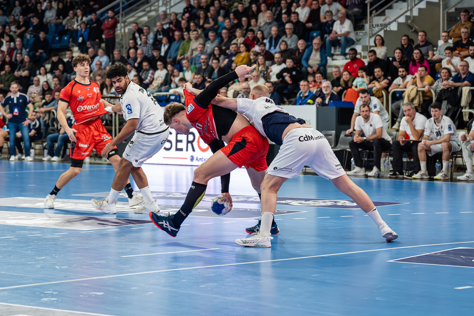 DSC01553.jpg_compressed