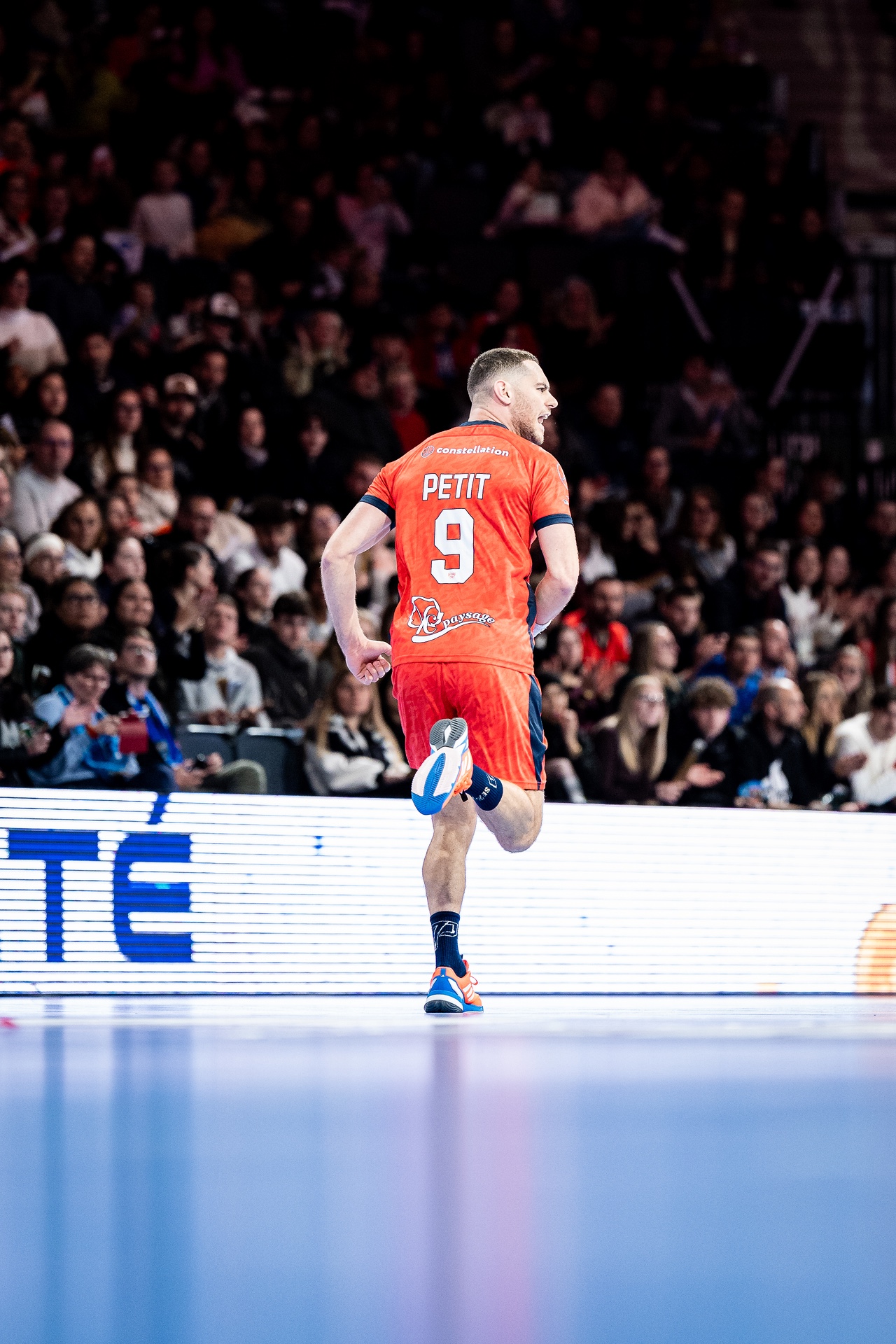 DSC01559.jpg_compressed