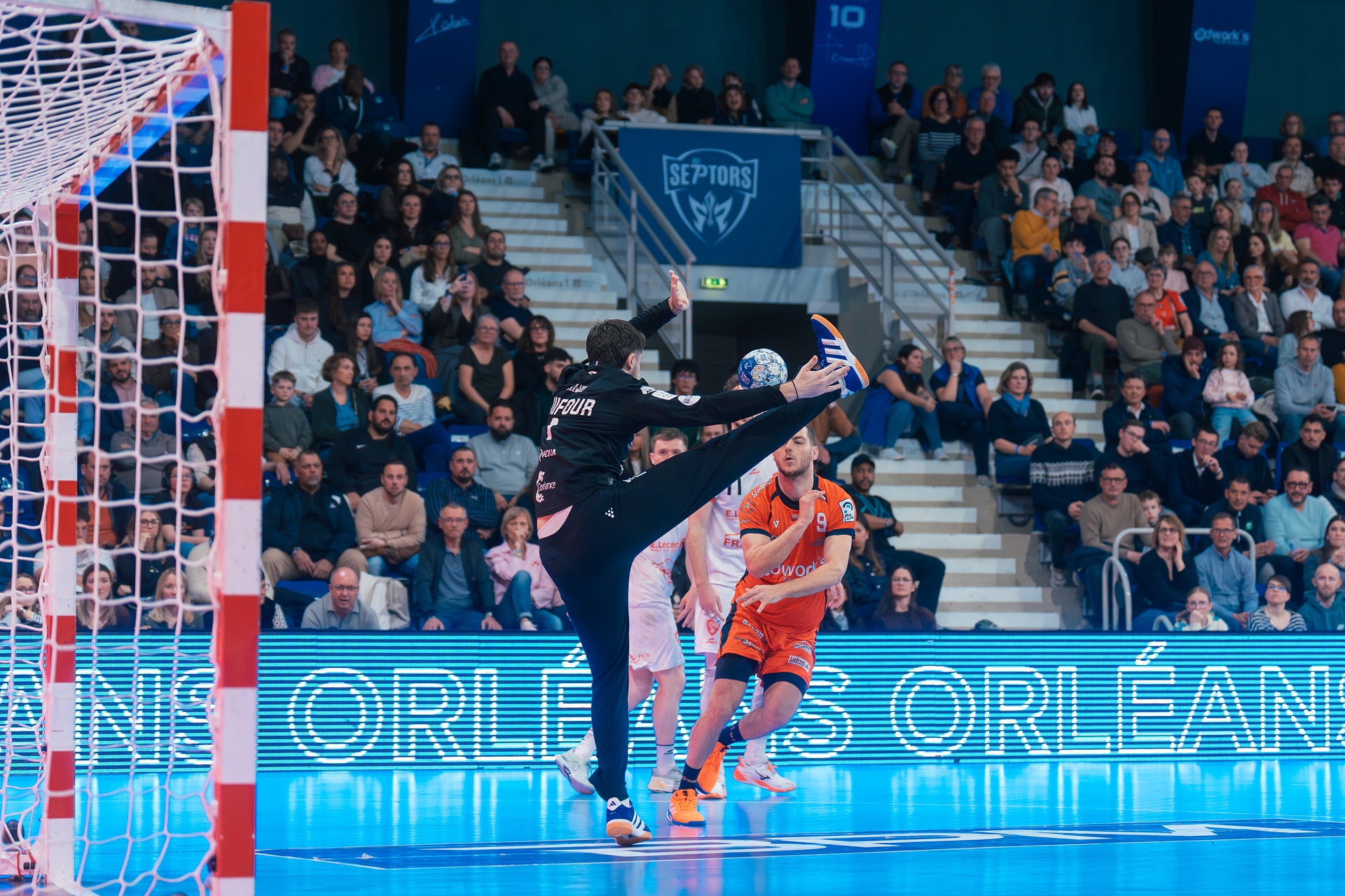 DSC01574.jpg_compressed