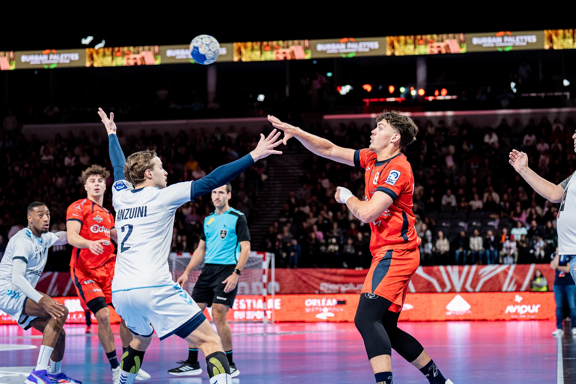 DSC01637.jpg_compressed