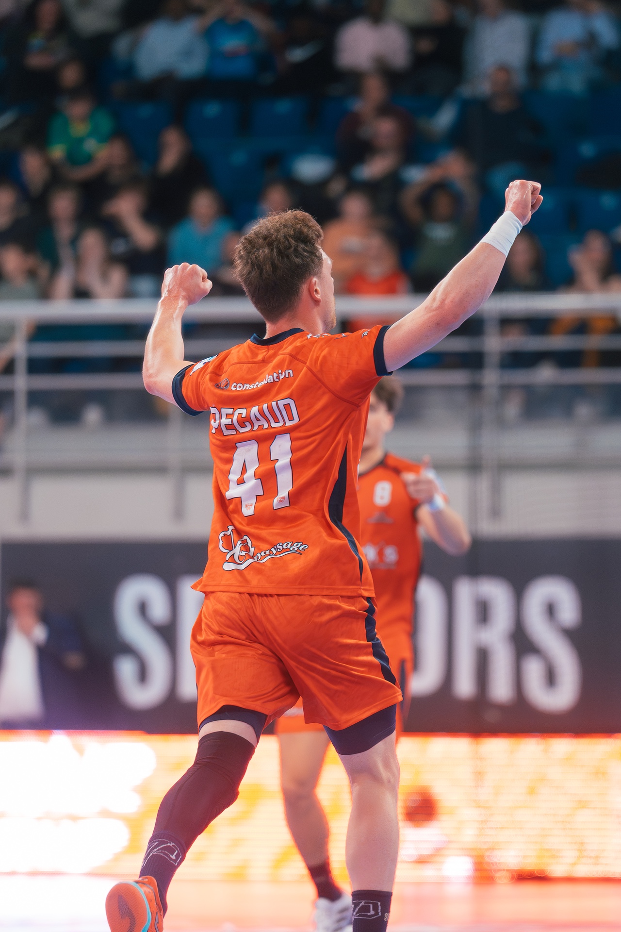 DSC01642.jpg_compressed