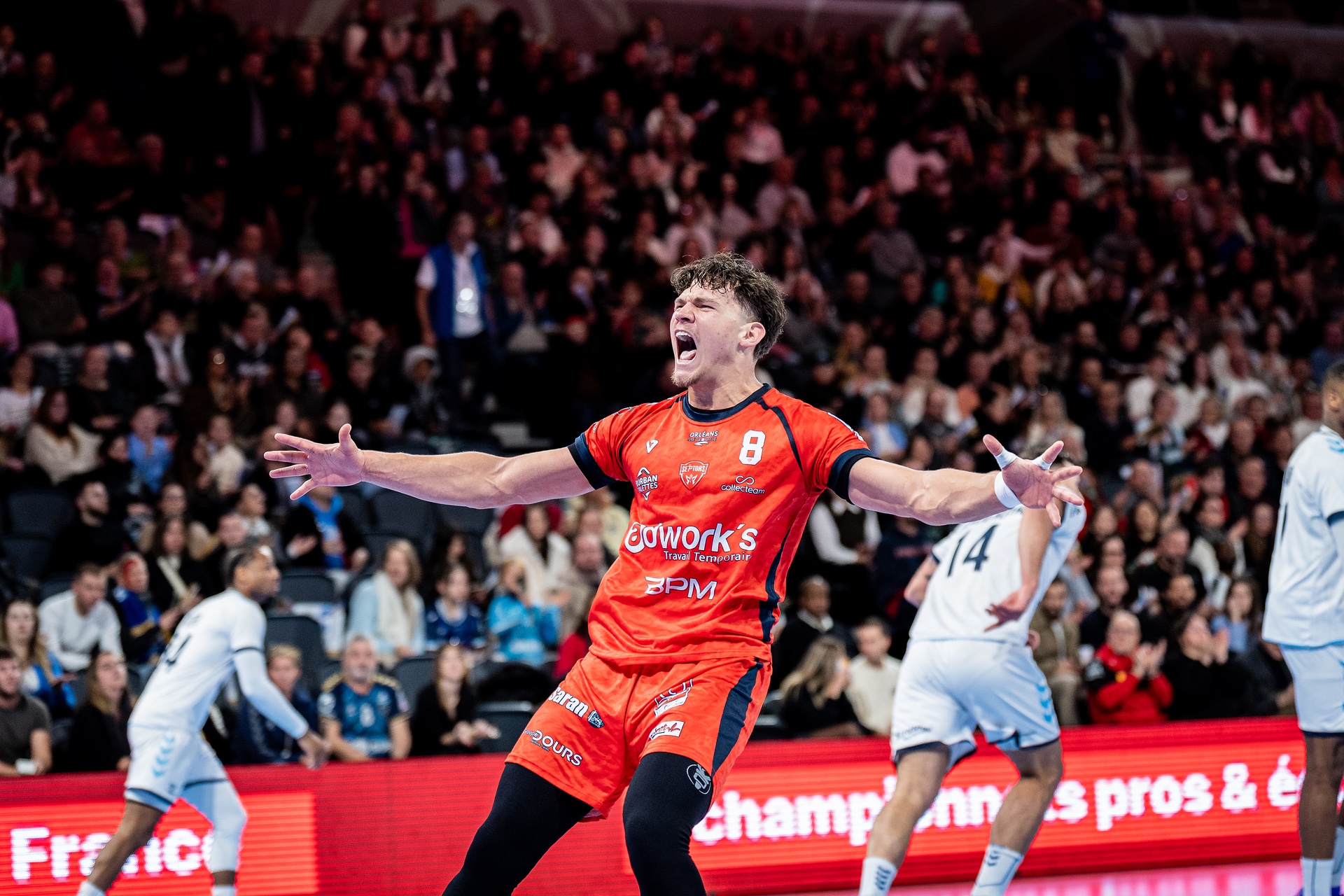 DSC01712-2.jpg_compressed