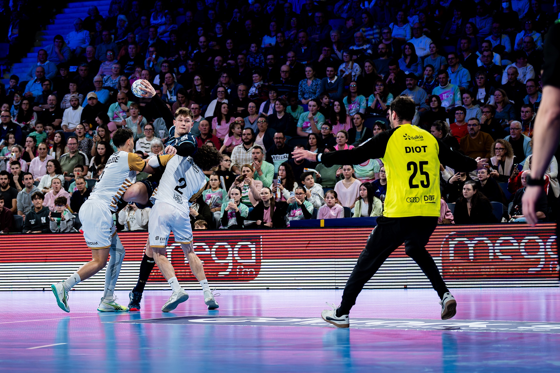 DSC01747.jpg_compressed