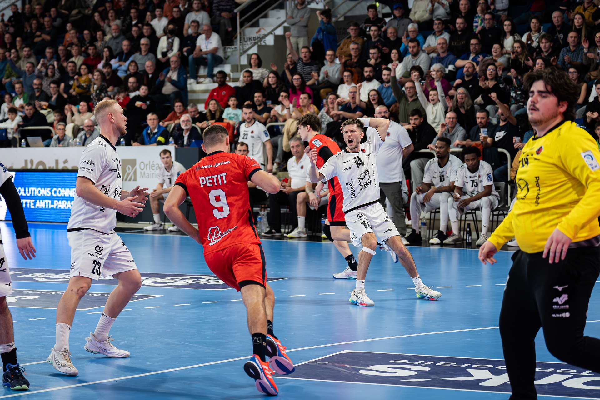 DSC01796.jpg_compressed