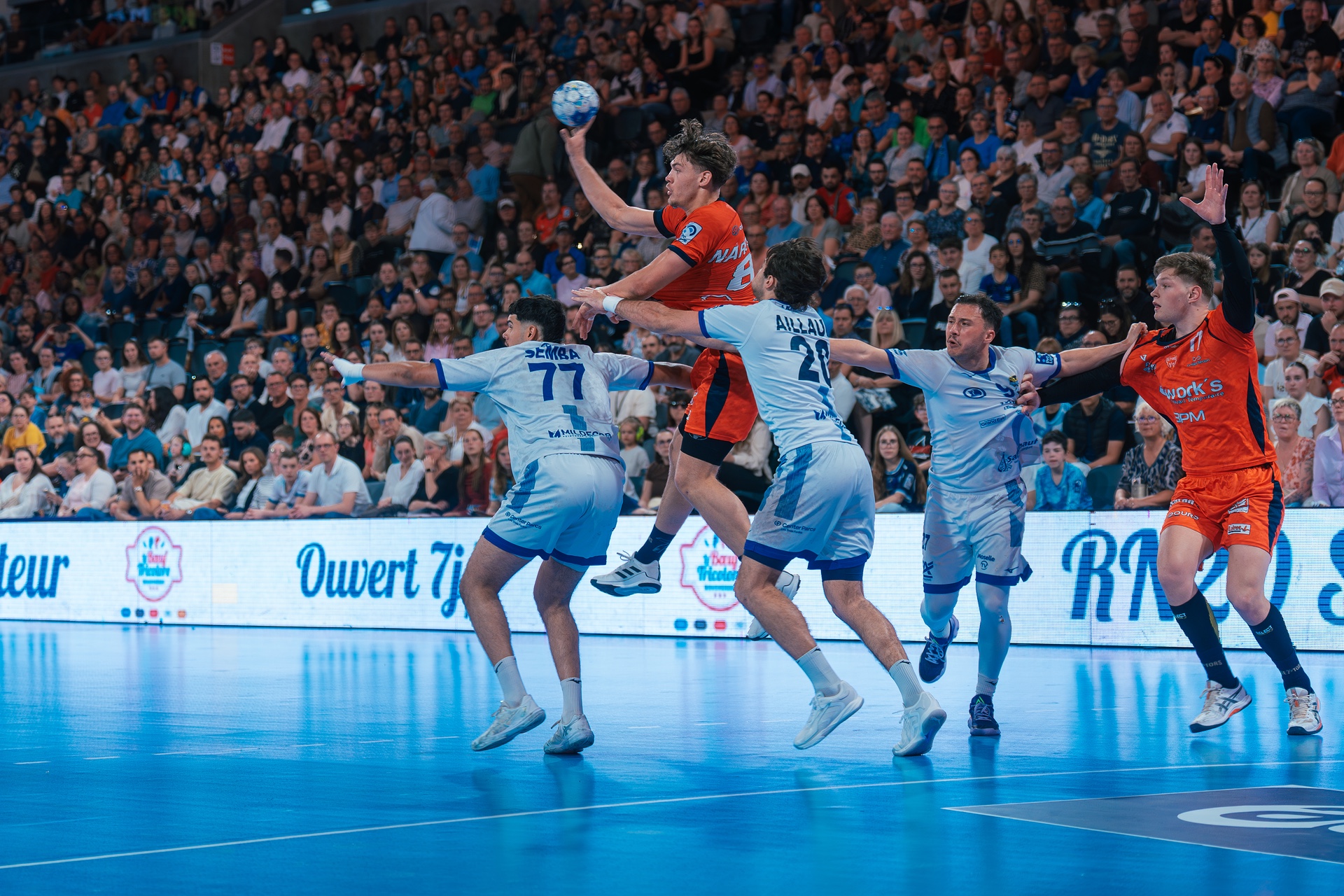 DSC01850.jpg_compressed