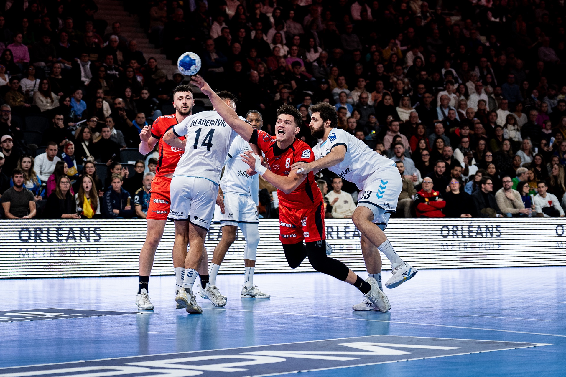 DSC01852.jpg_compressed