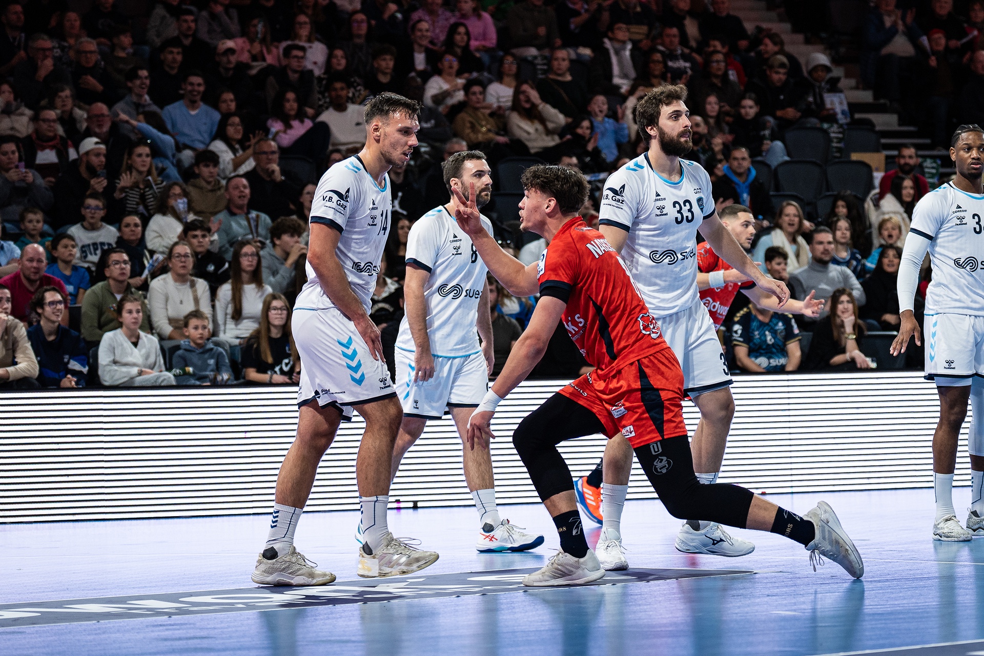 DSC01865.jpg_compressed