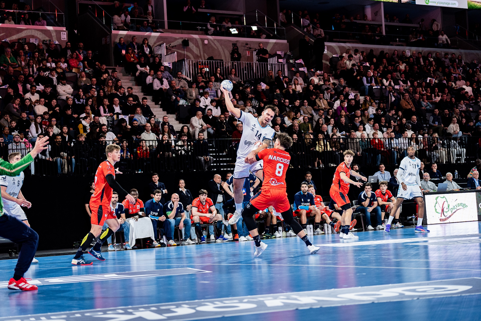 DSC01929.jpg_compressed