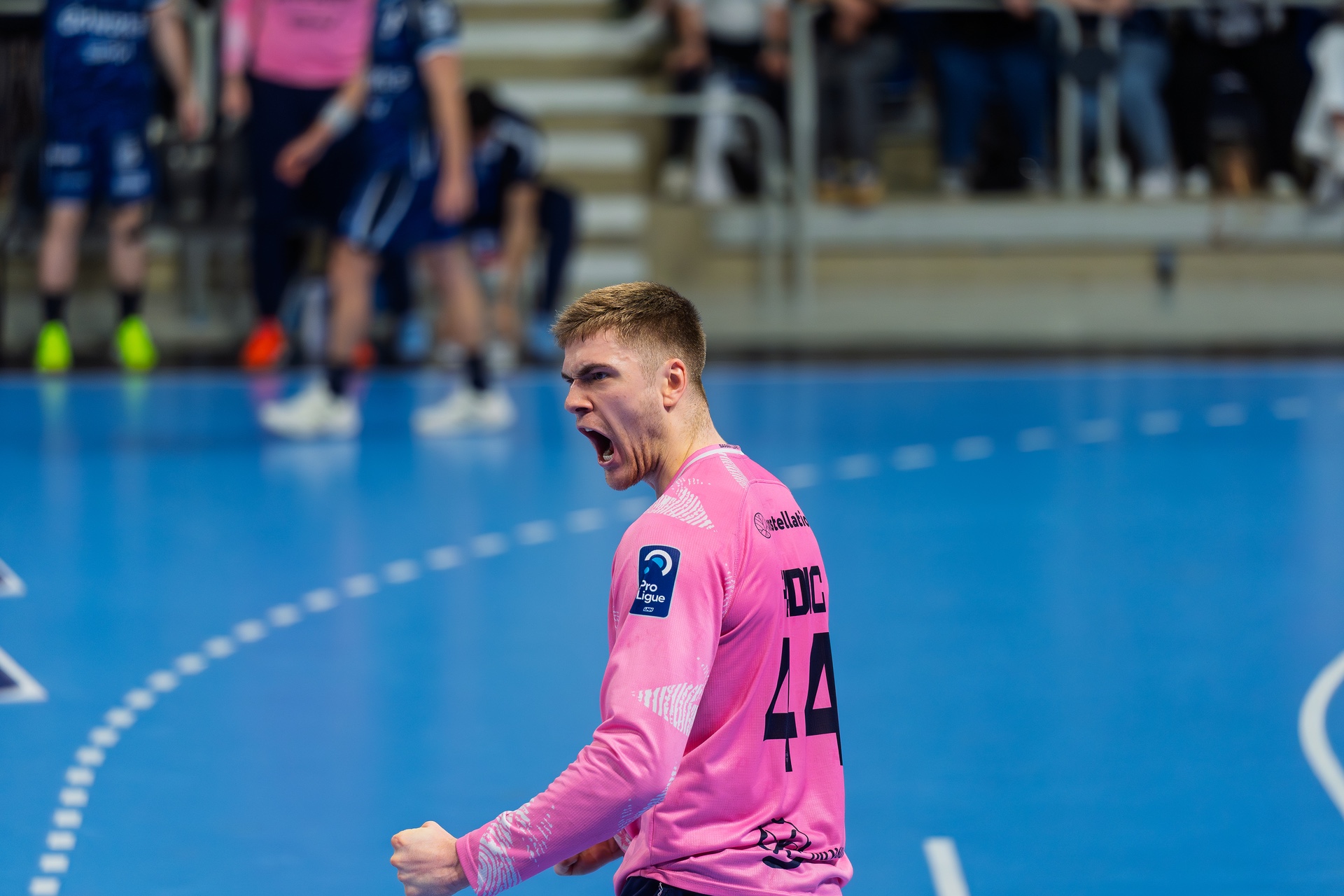 DSC02116.jpg_compressed