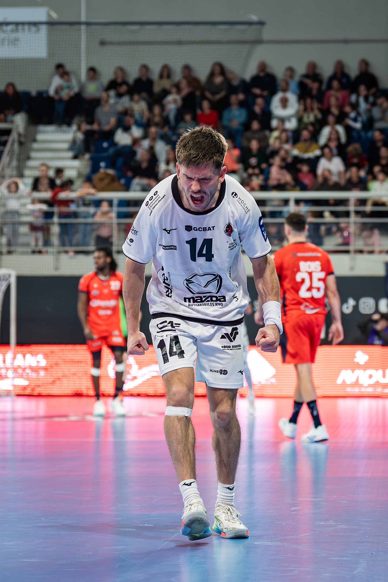 DSC02142.jpg_compressed