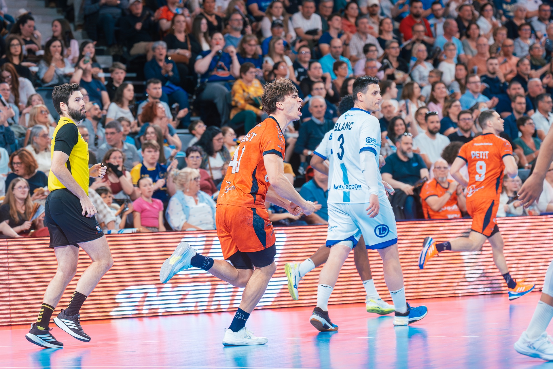 DSC02195-2.jpg_compressed