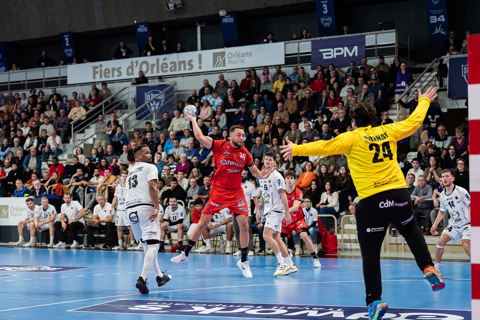 DSC02242.jpg_compressed