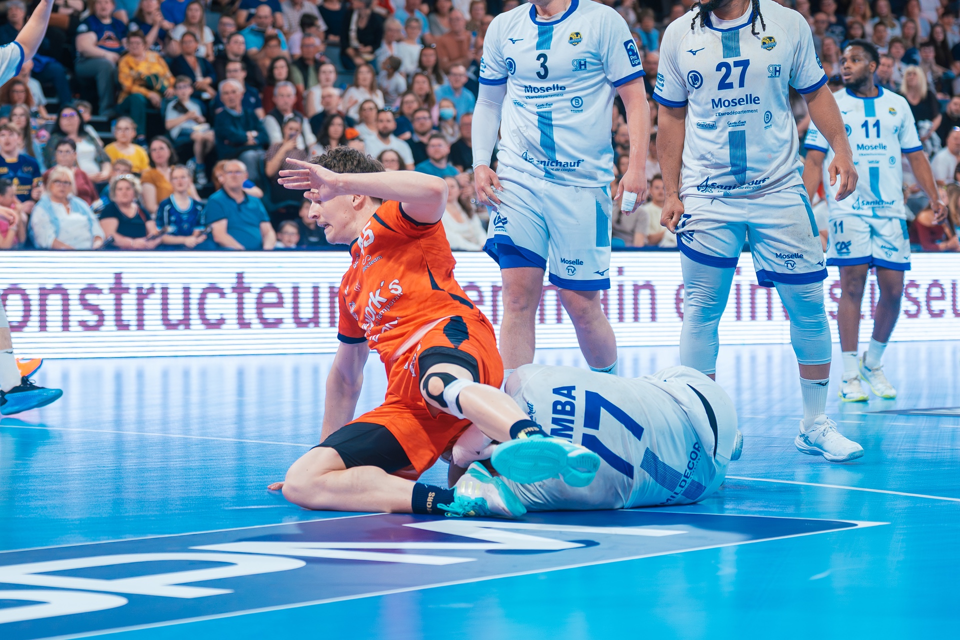 DSC02263.jpg_compressed