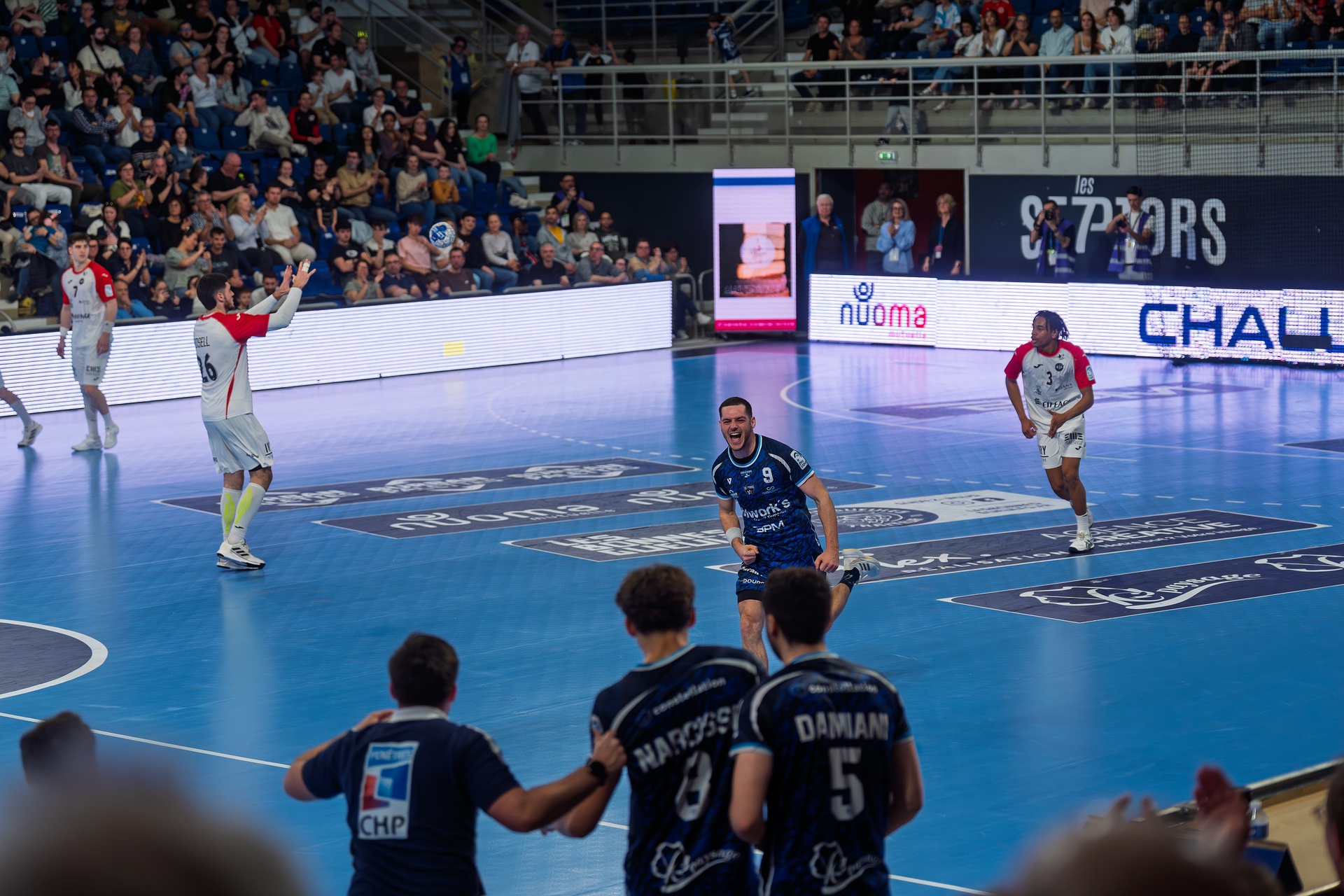 DSC02266.jpg_compressed