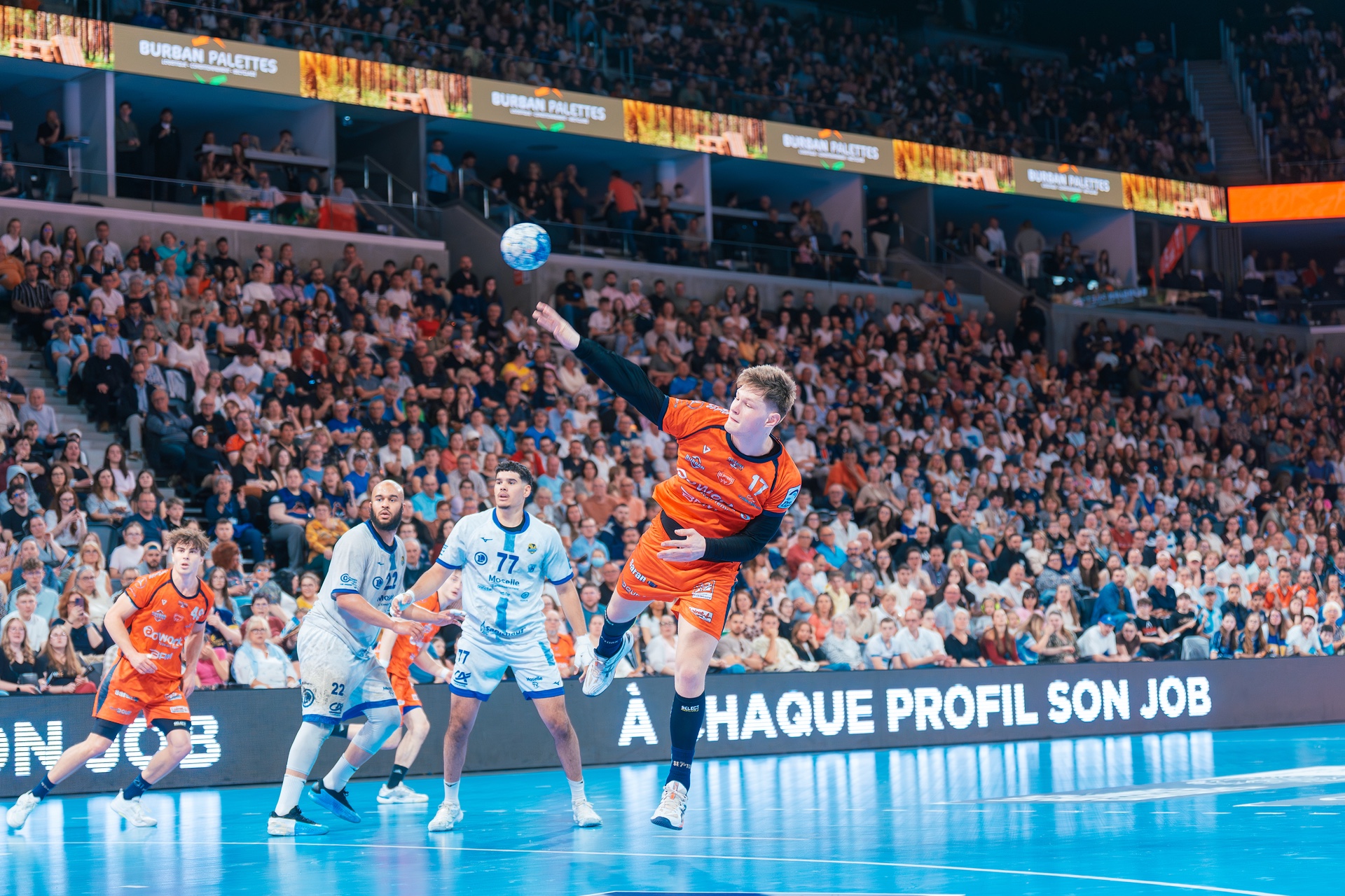 DSC02398.jpg_compressed