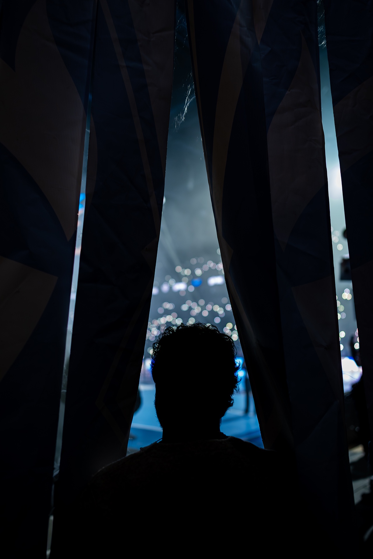 DSC02447.jpg_compressed