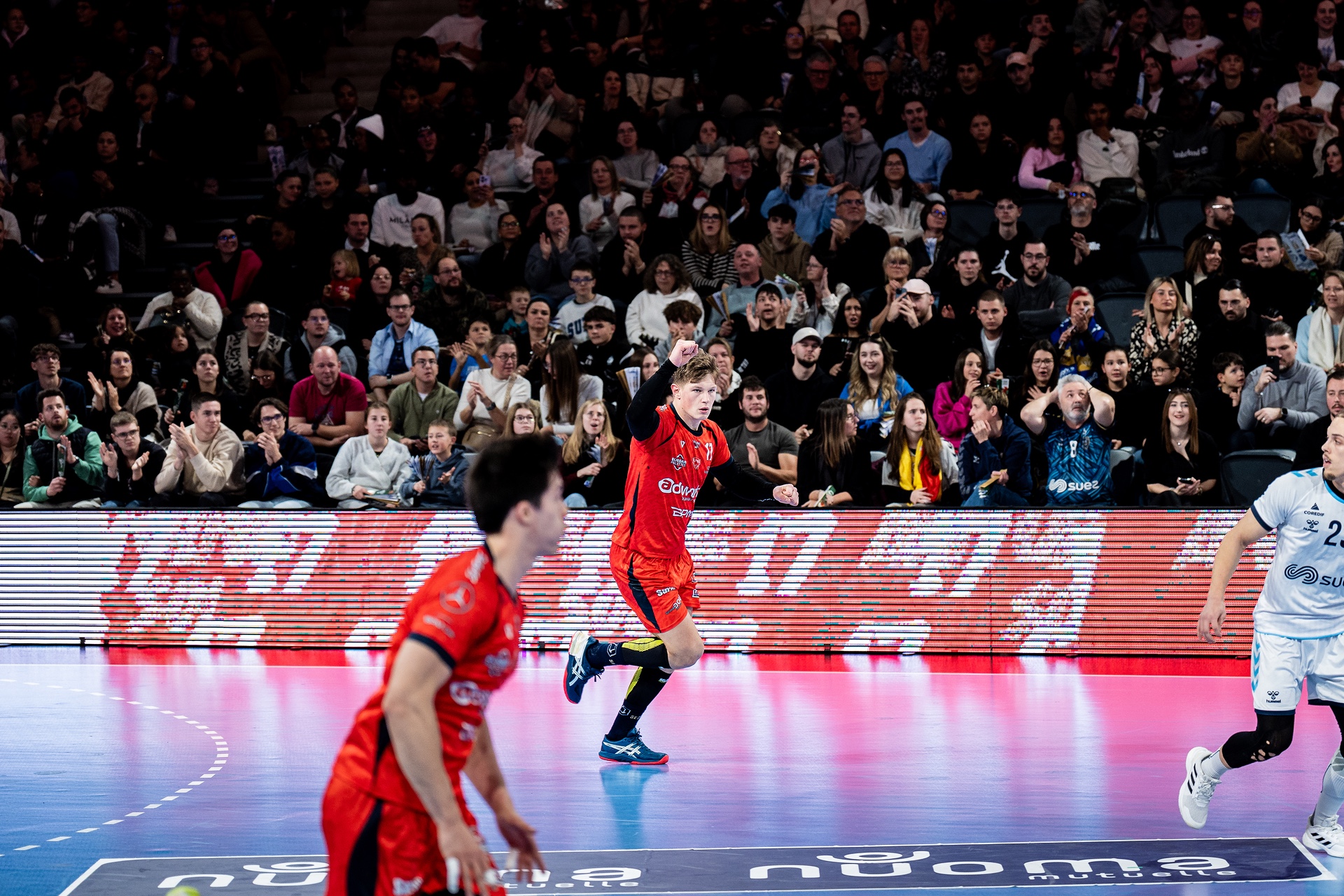 DSC02460.jpg_compressed