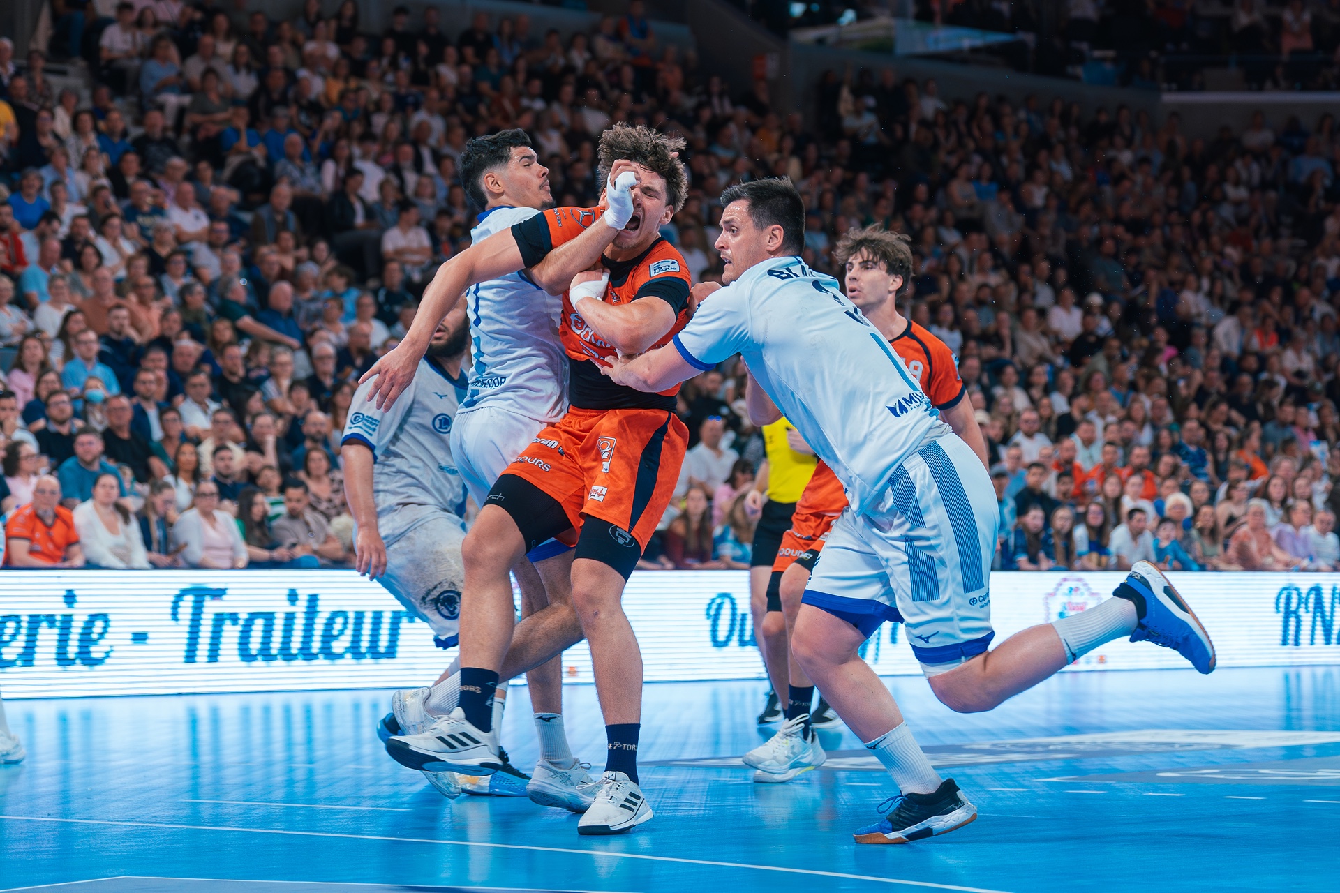 DSC02474.jpg_compressed