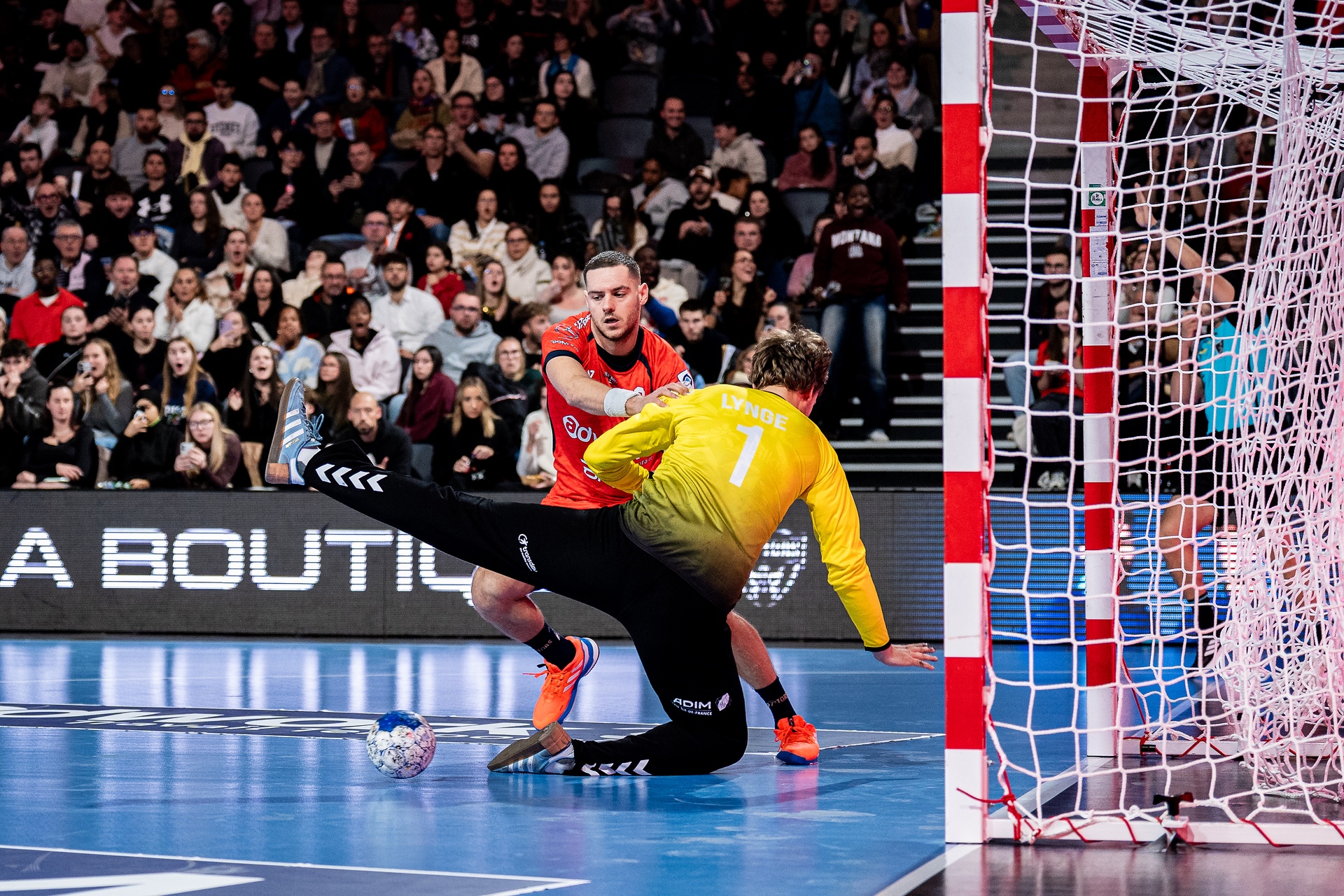 DSC02596-3.jpg_compressed