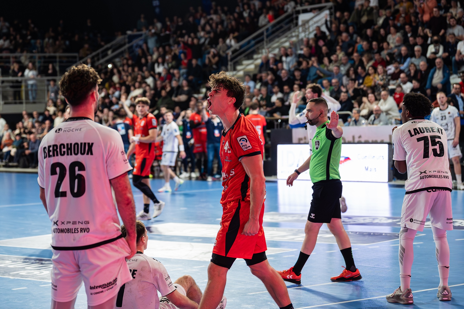 DSC02605.jpg_compressed