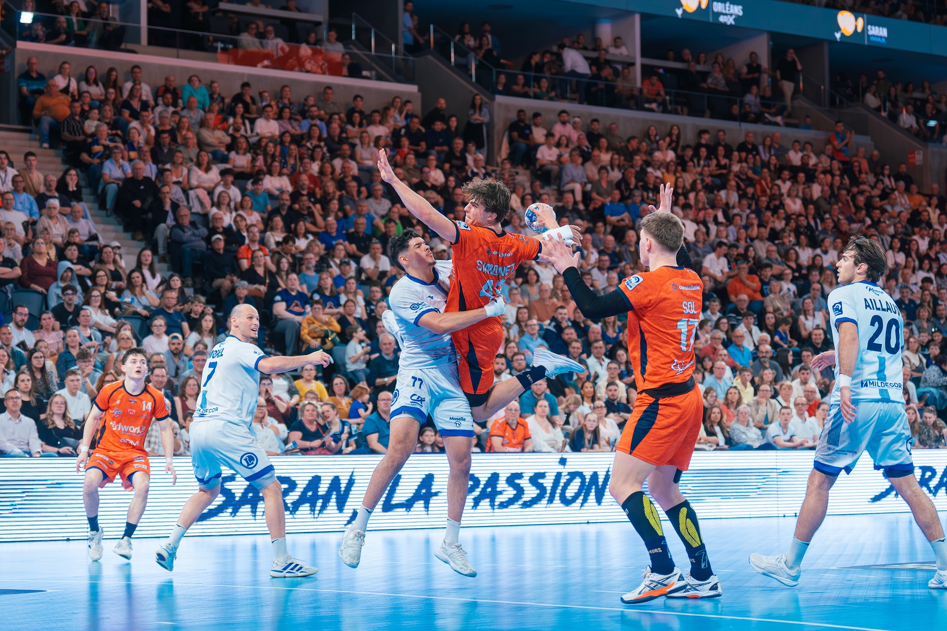 DSC02608.jpg_compressed