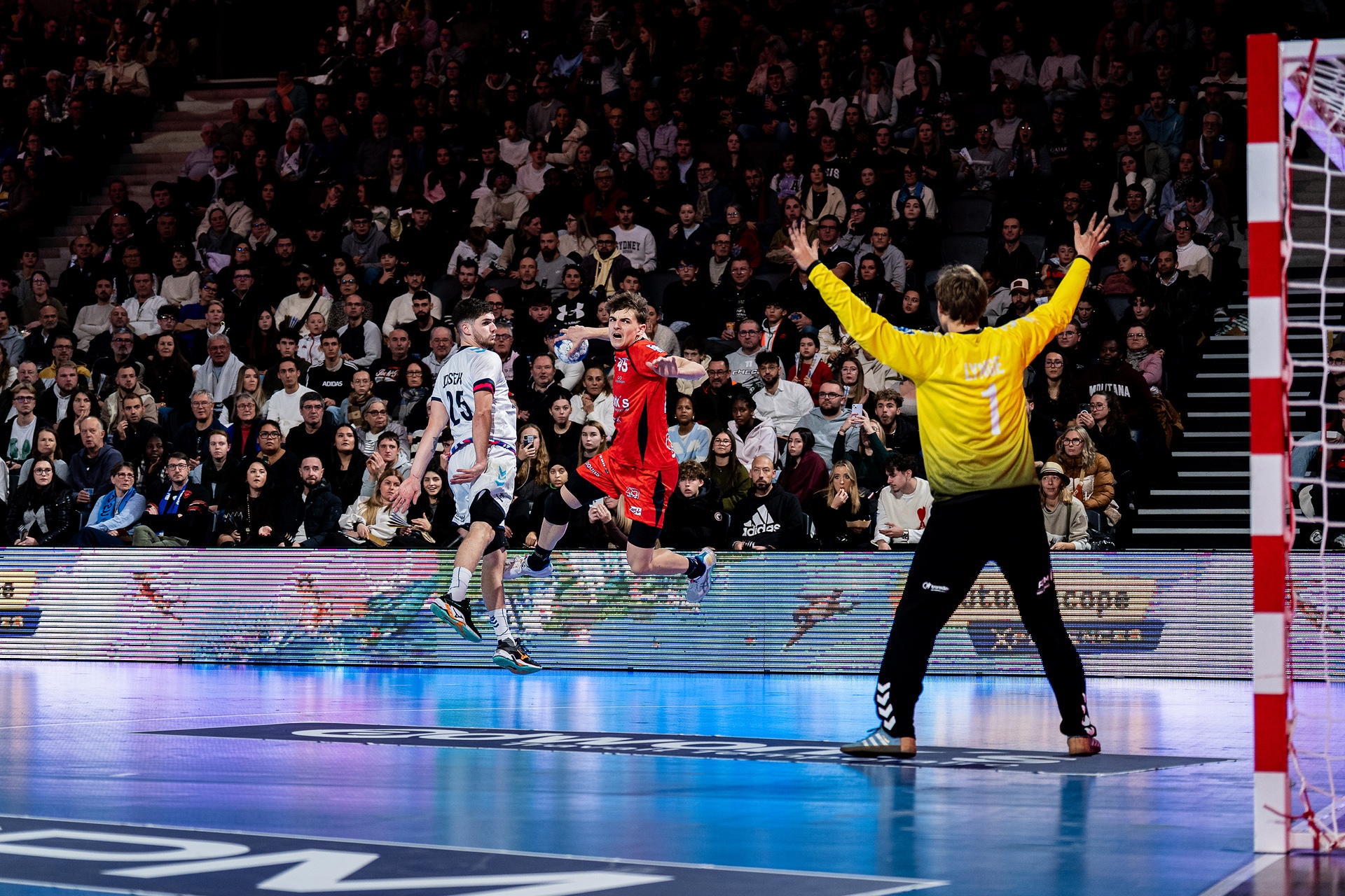 DSC02632.jpg_compressed