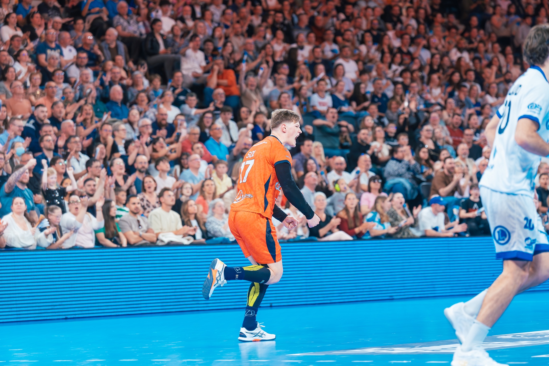 DSC02643.jpg_compressed