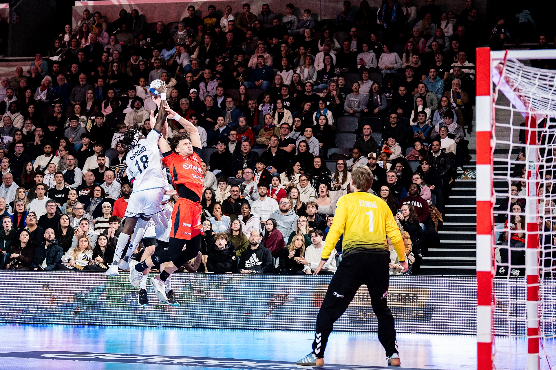 DSC02646.jpg_compressed