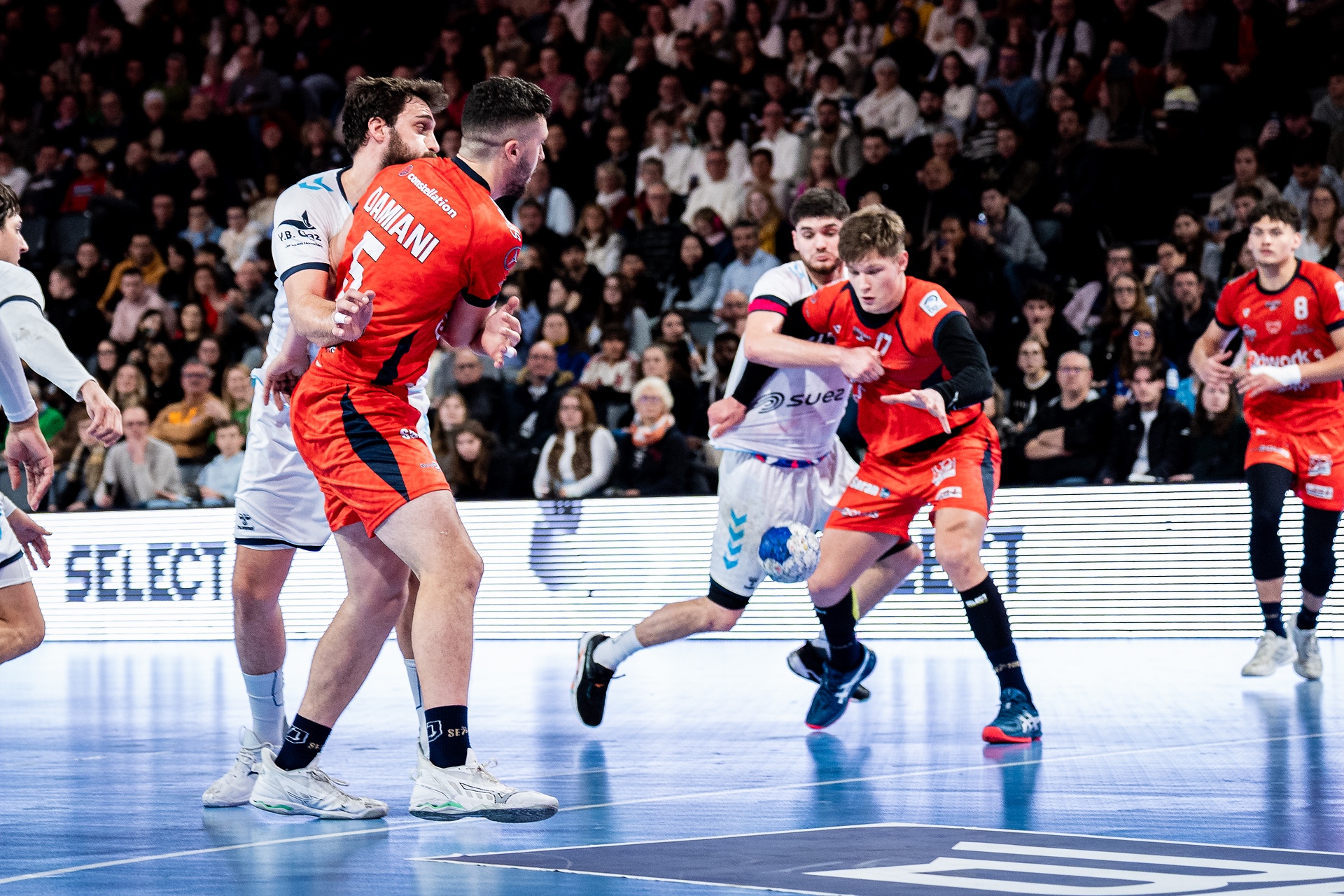 DSC02676.jpg_compressed