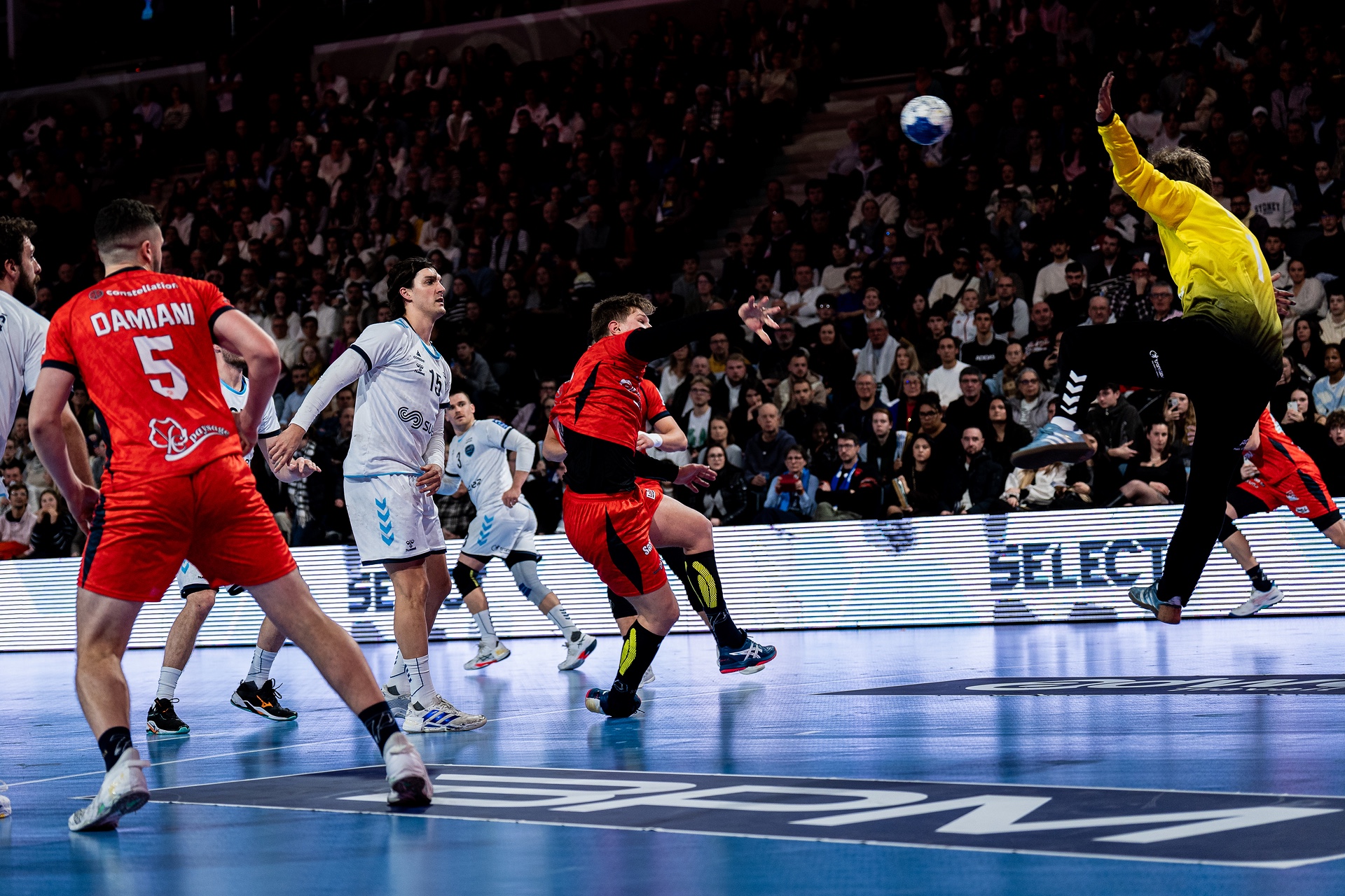 DSC02689.jpg_compressed