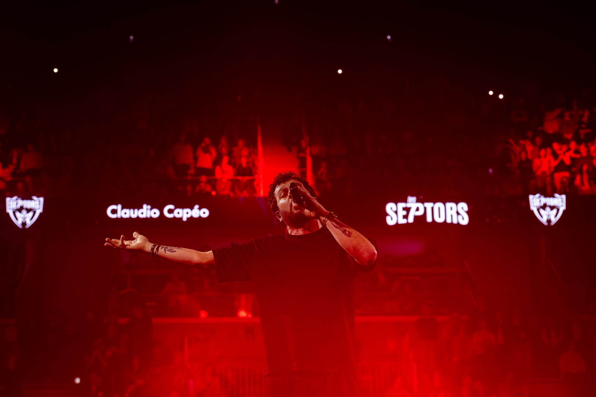 DSC02740.jpg_compressed