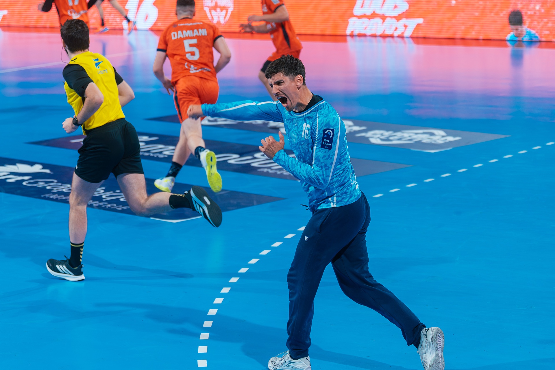 DSC02909.jpg_compressed