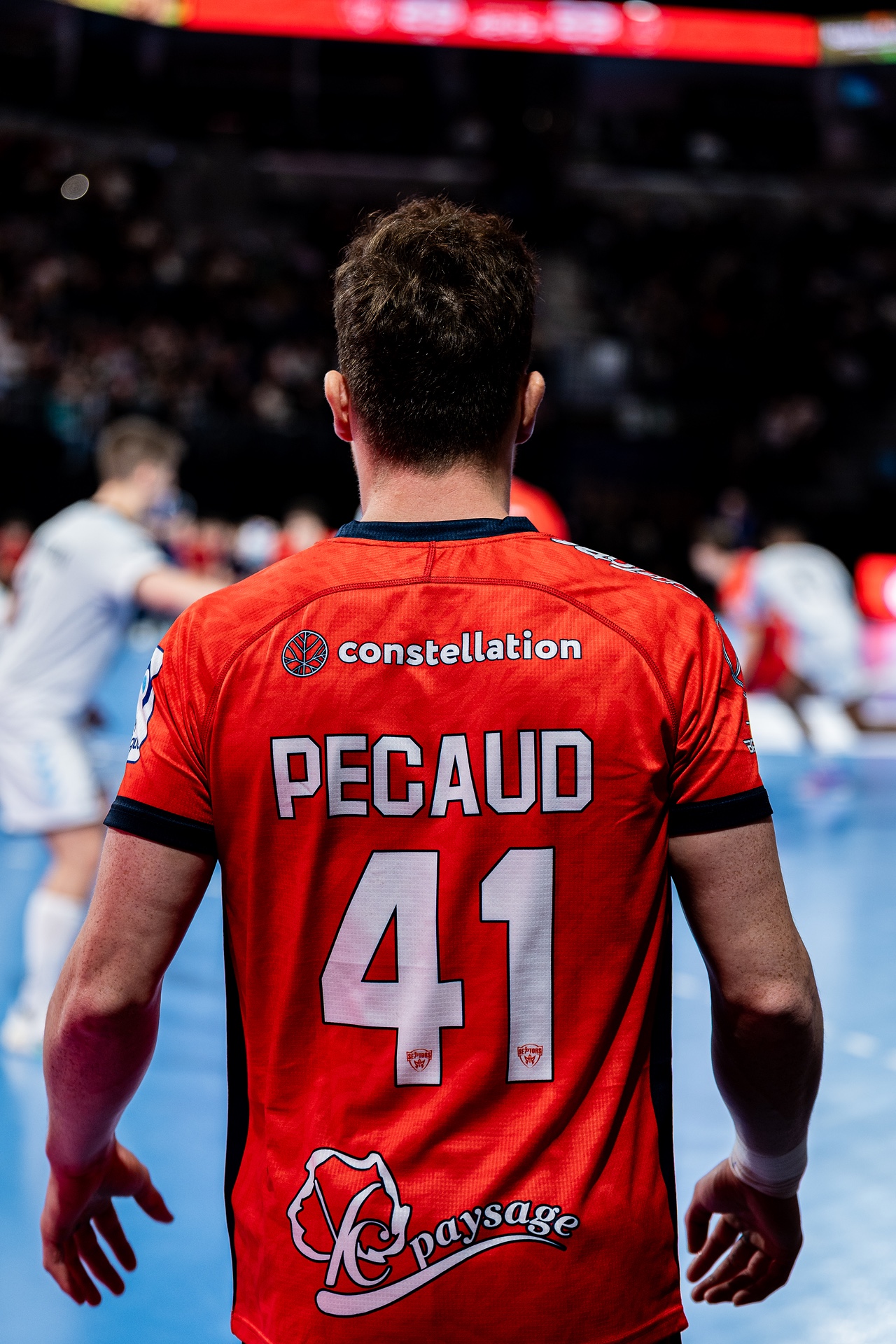 DSC02917.jpg_compressed