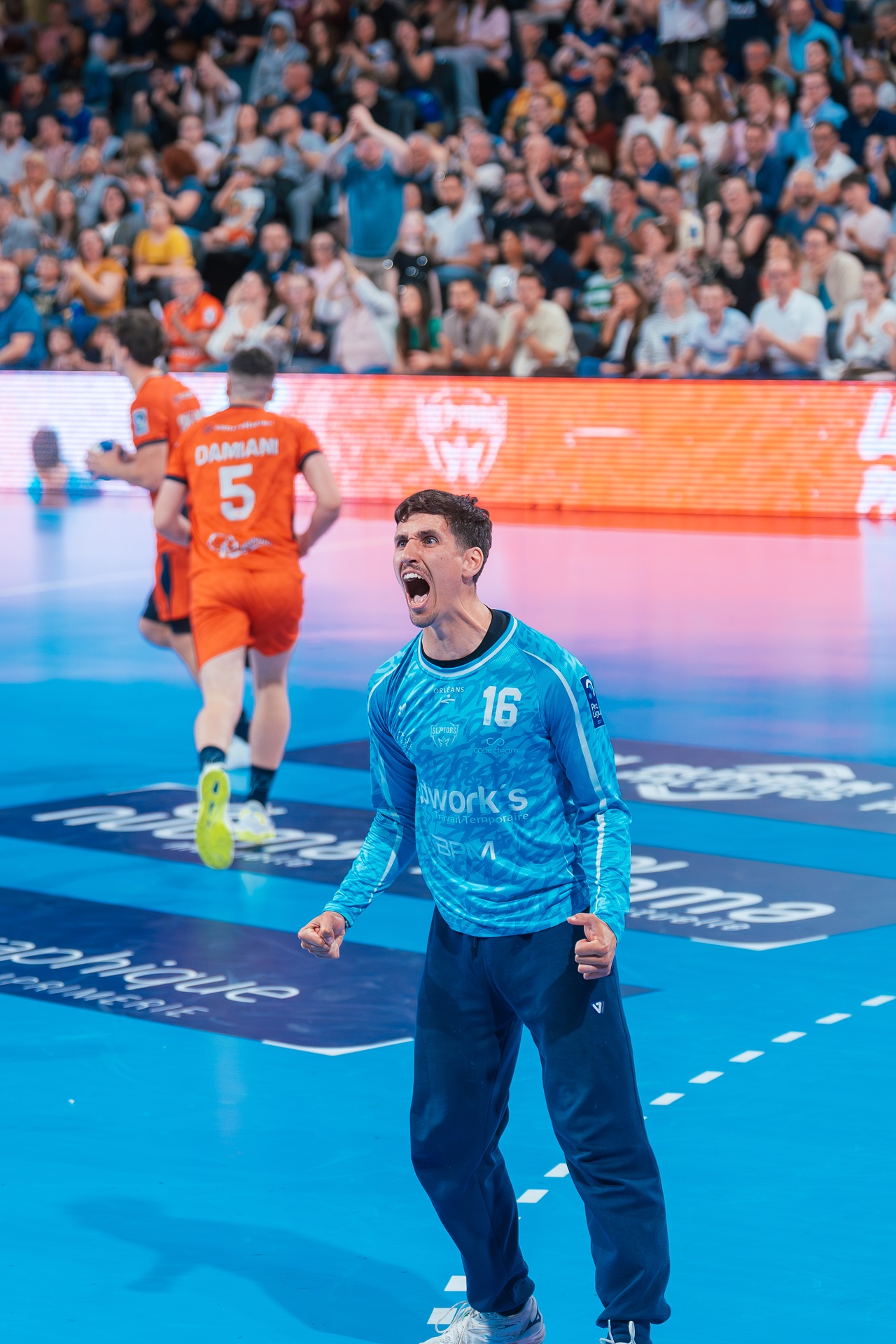 DSC02918.jpg_compressed