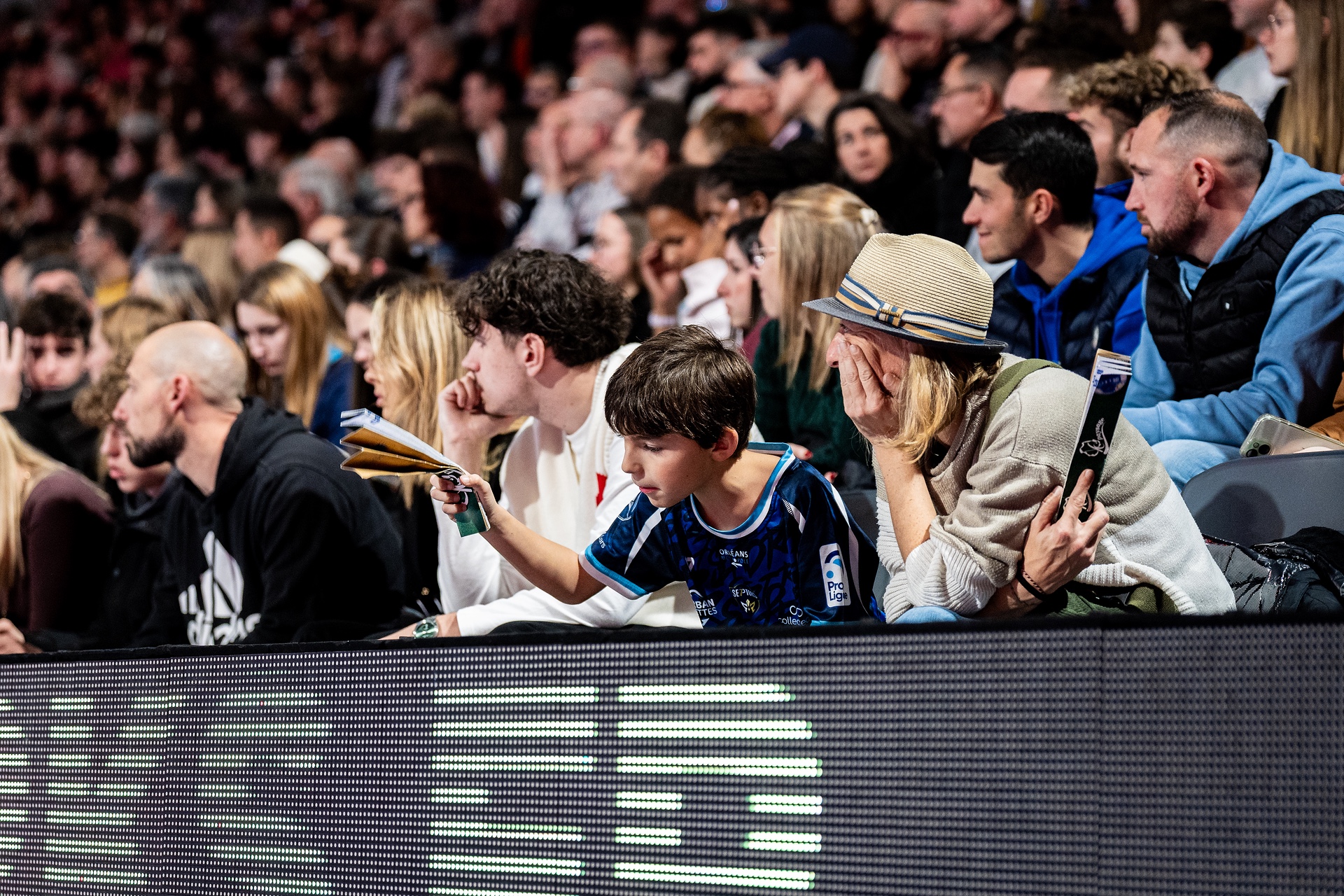 DSC02939.jpg_compressed