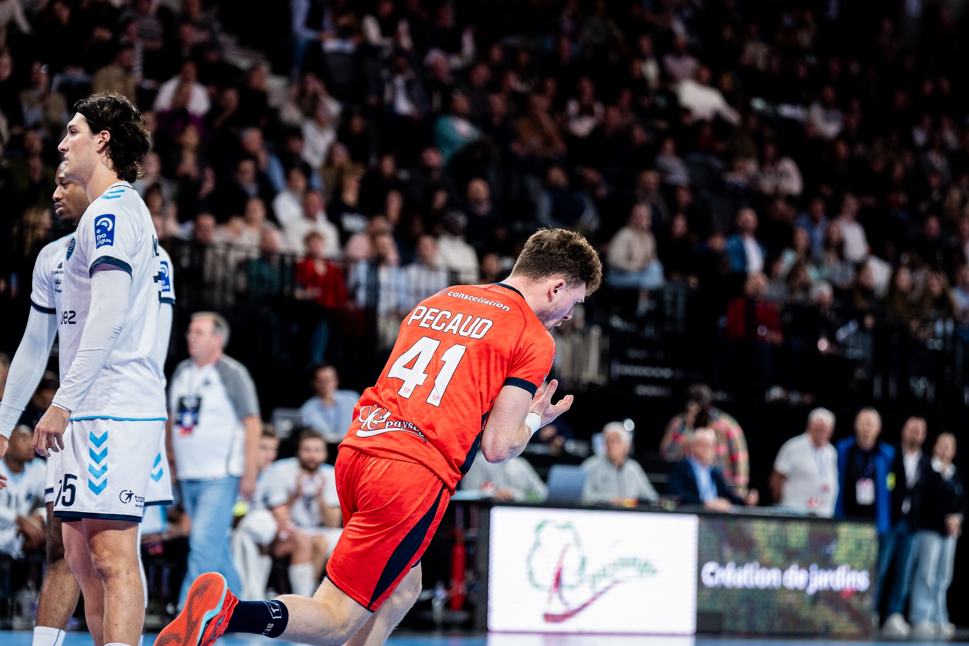 DSC02972.jpg_compressed