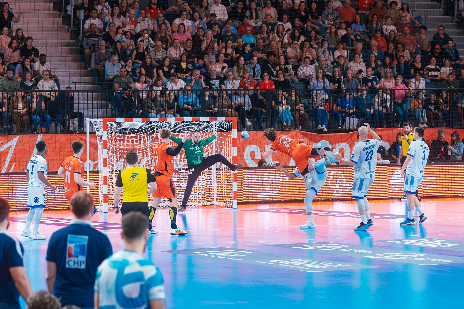 DSC02978.jpg_compressed