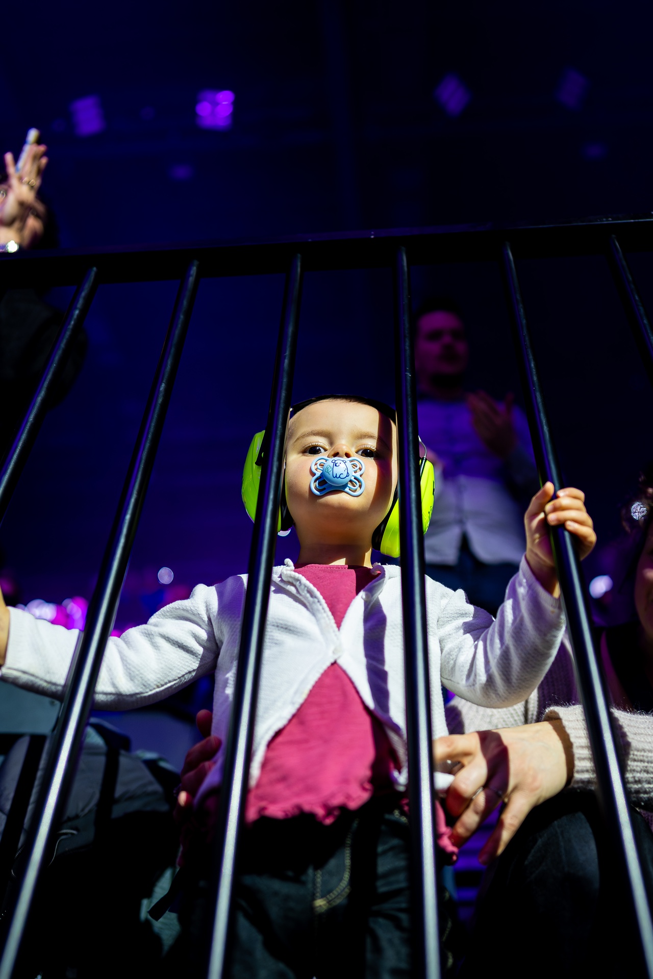 DSC03040.jpg_compressed