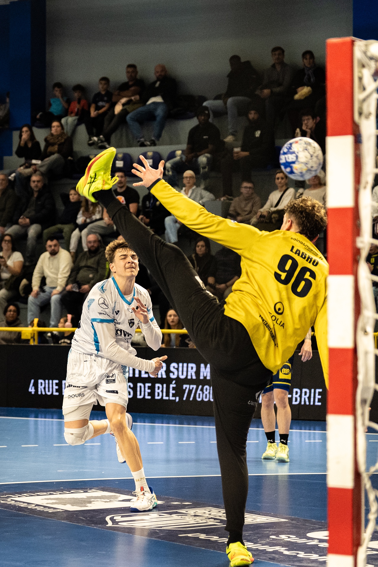 DSC03372-2.jpg_compressed