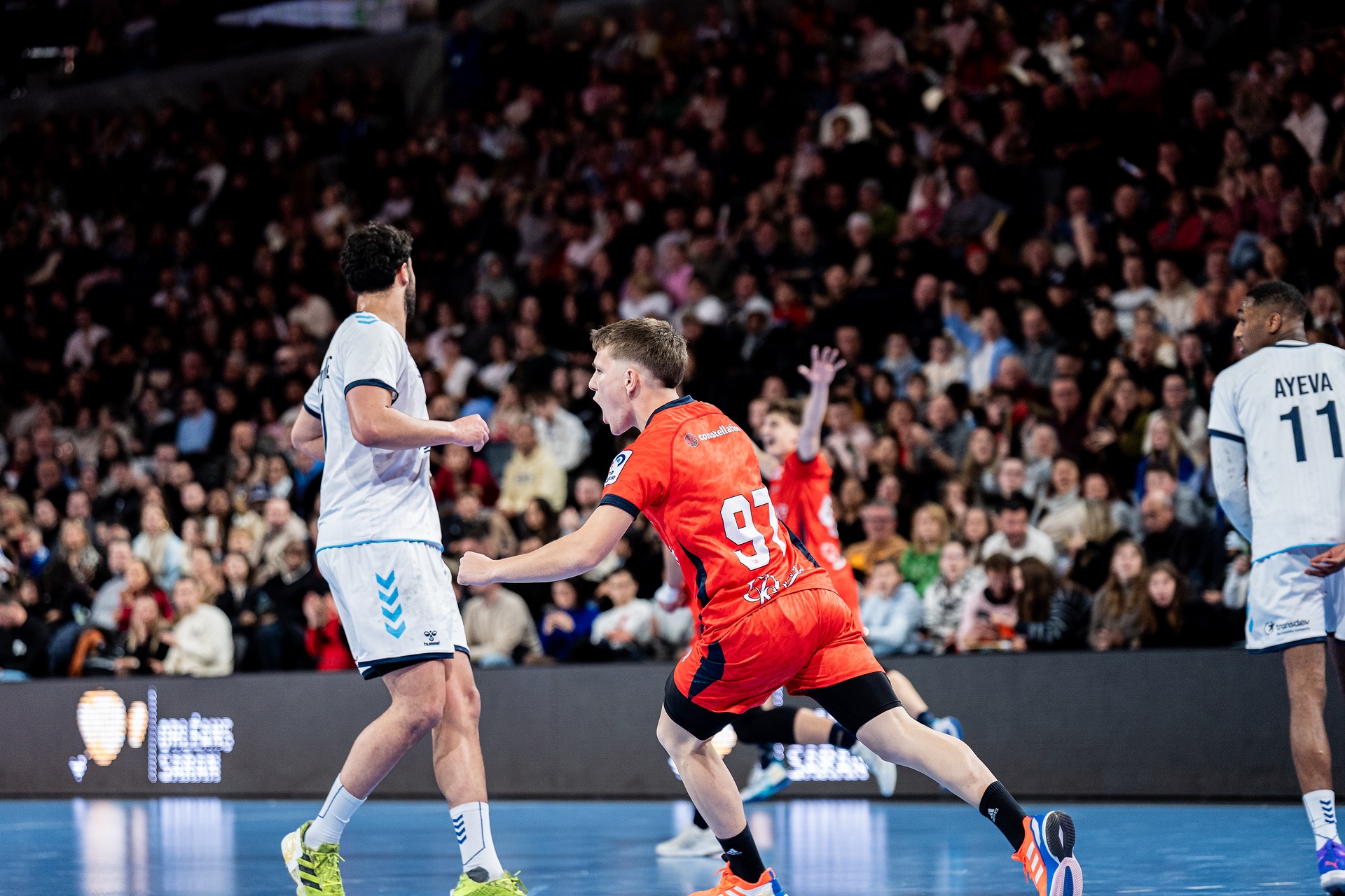 DSC03425.jpg_compressed