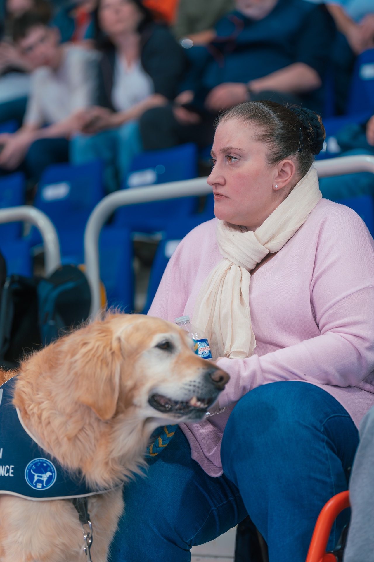 DSC03704.jpg_compressed