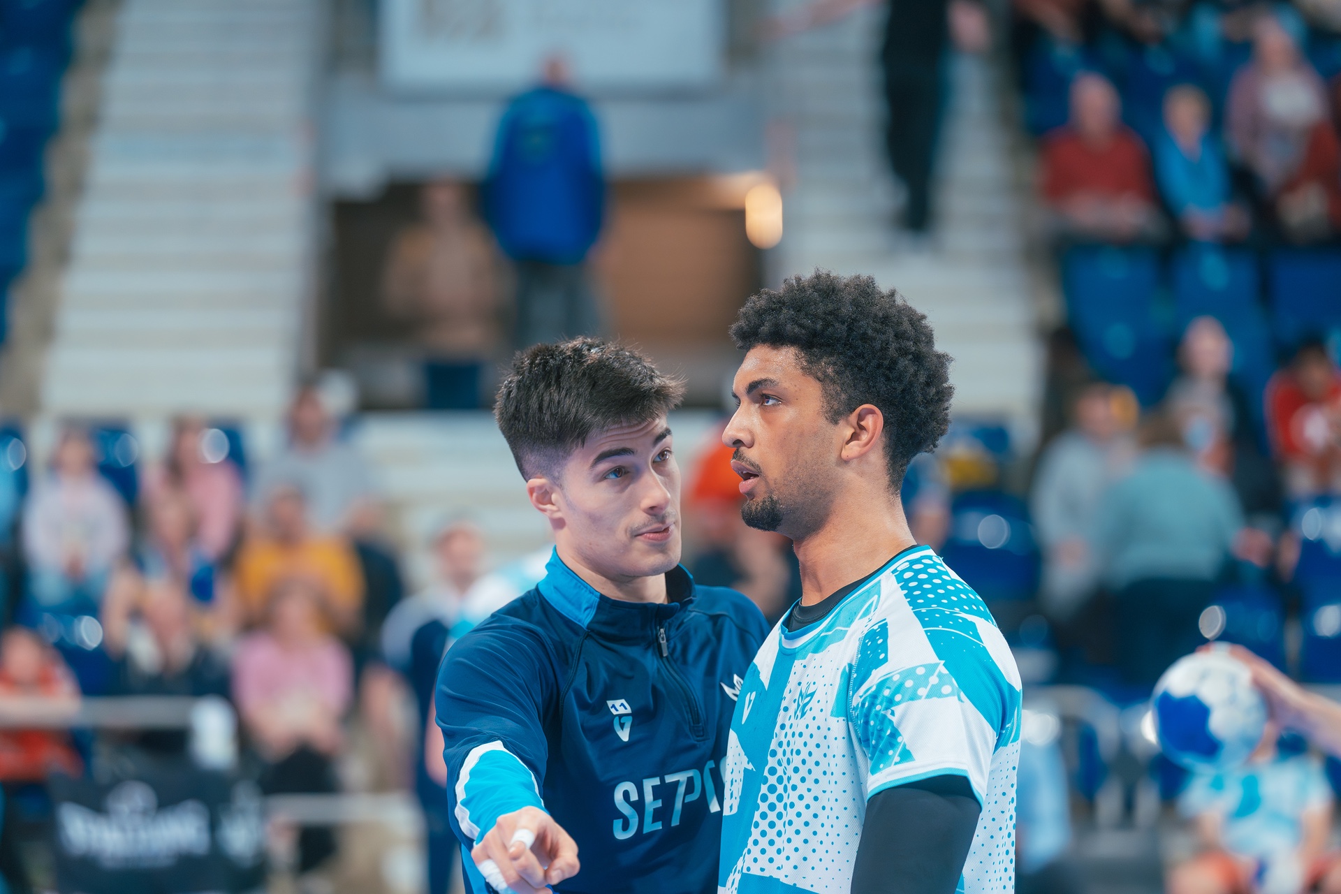 DSC03847.jpg_compressed