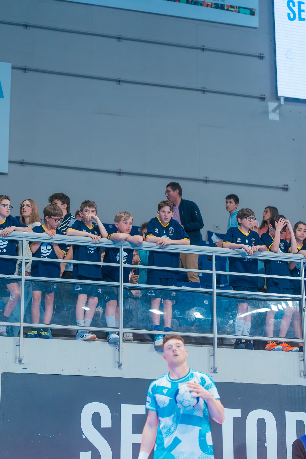 DSC03859.jpg_compressed