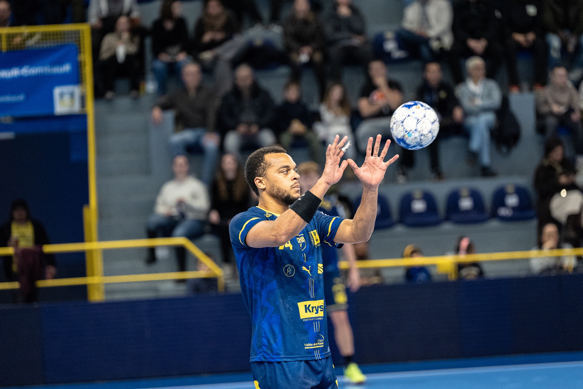 DSC03861.jpg_compressed